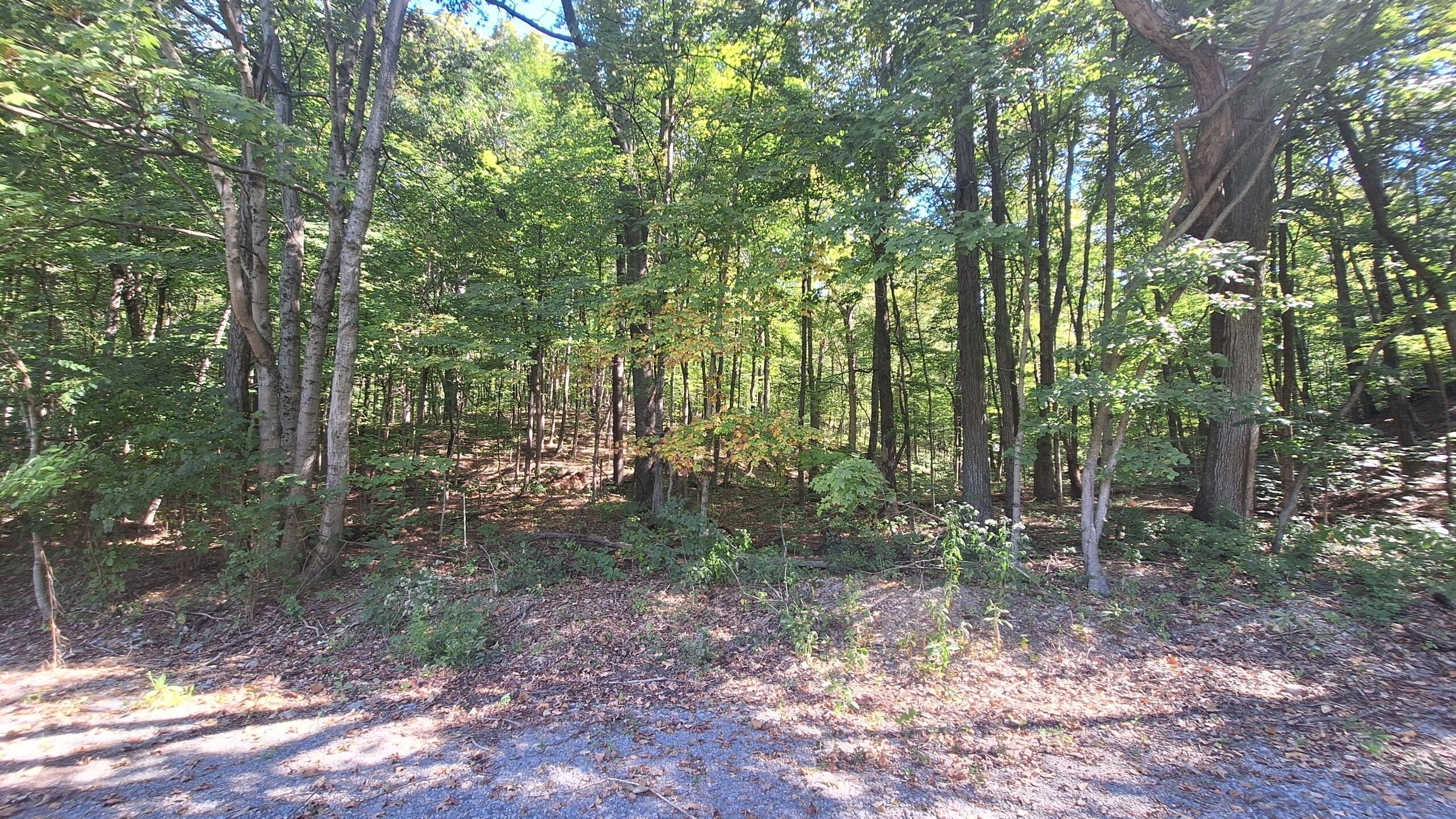 965 Graves Road Property Photo 10