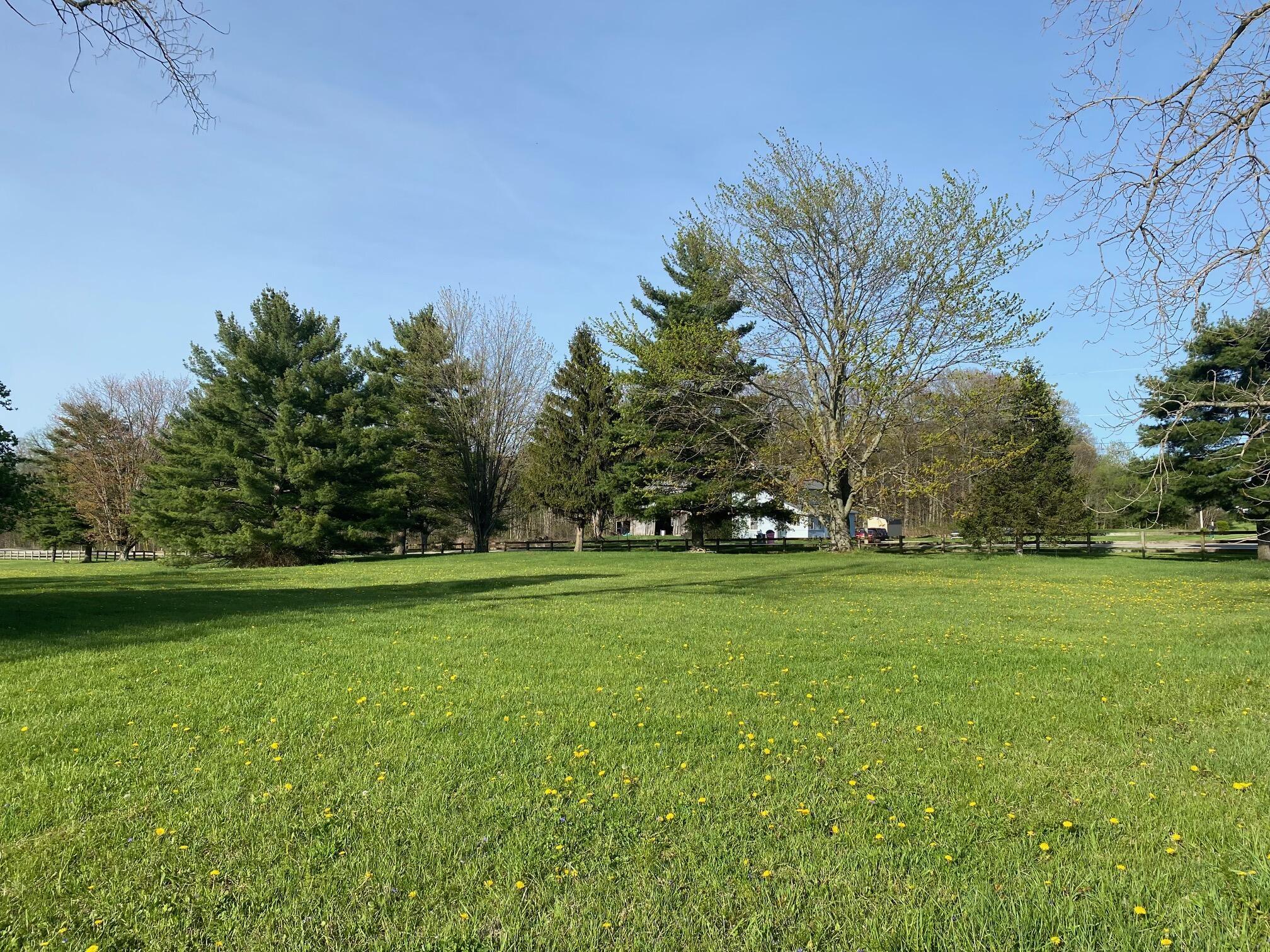 7326 State Route 19, Unit 2 Property Photo 2