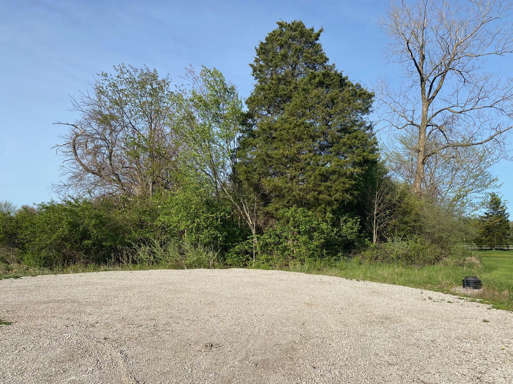 7326 State Route 19, Unit 2 Property Photo 4