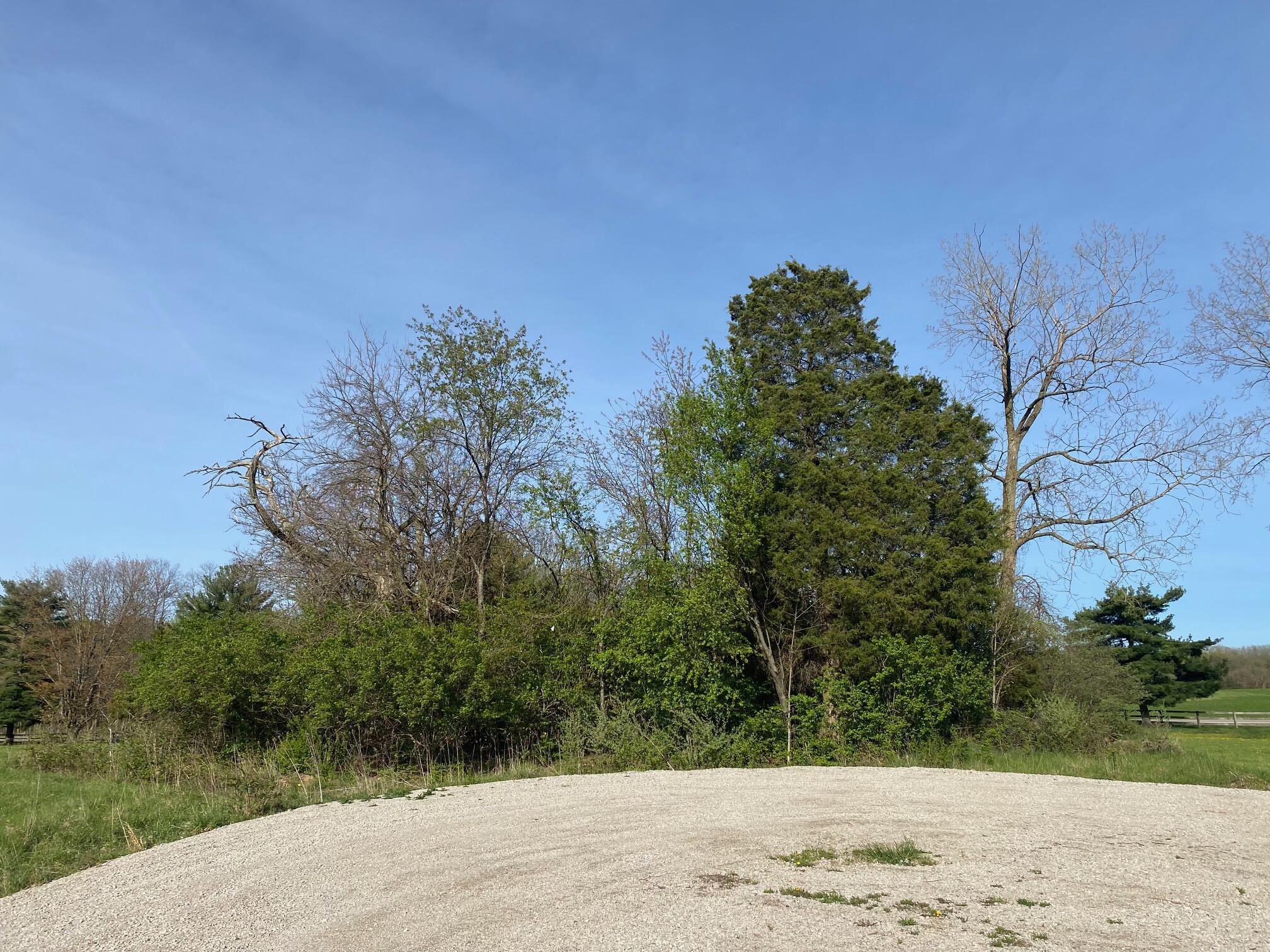 7326 State Route 19, Unit 2 Property Photo 6