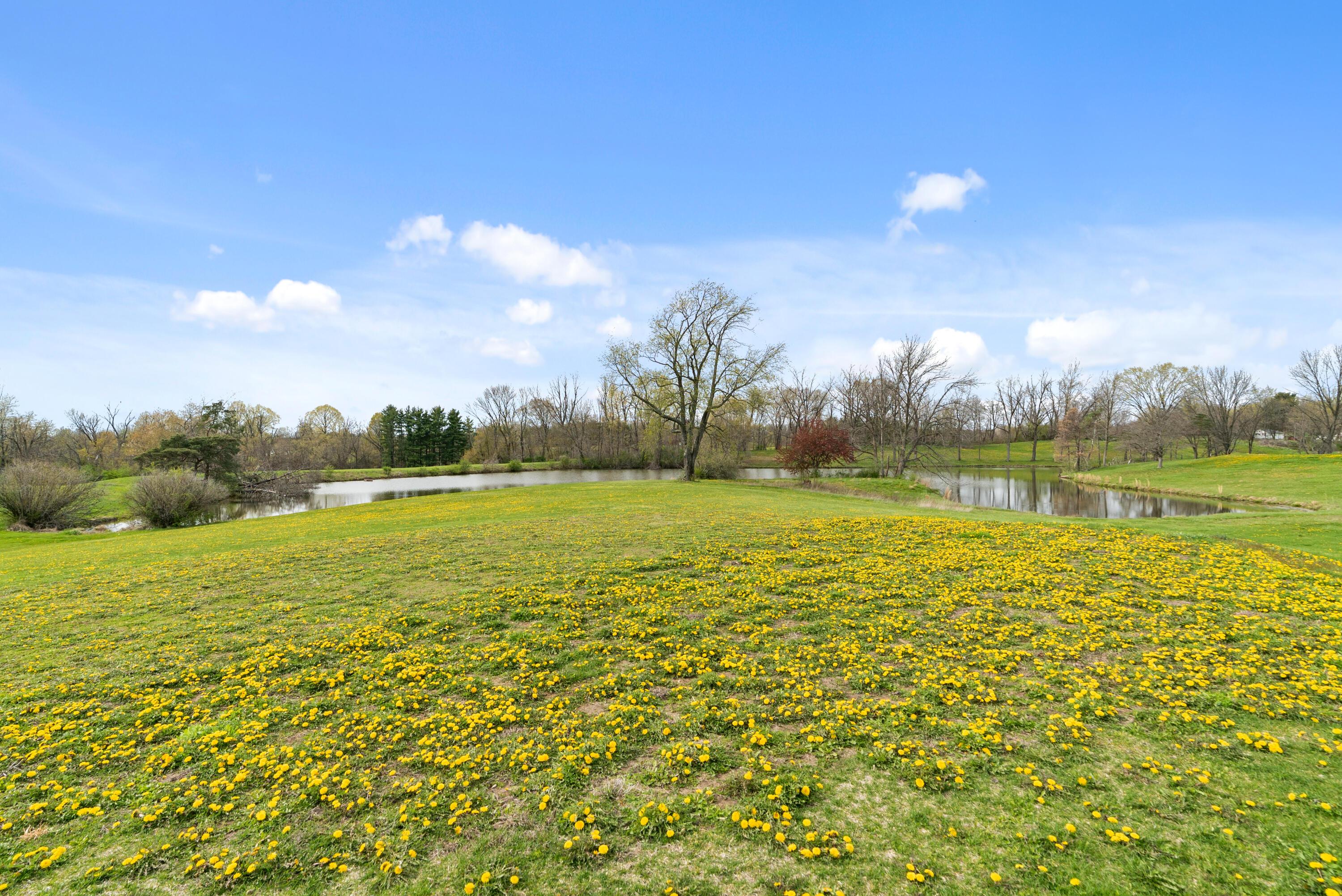 0 Coonpath Road Ne Property Photo 8