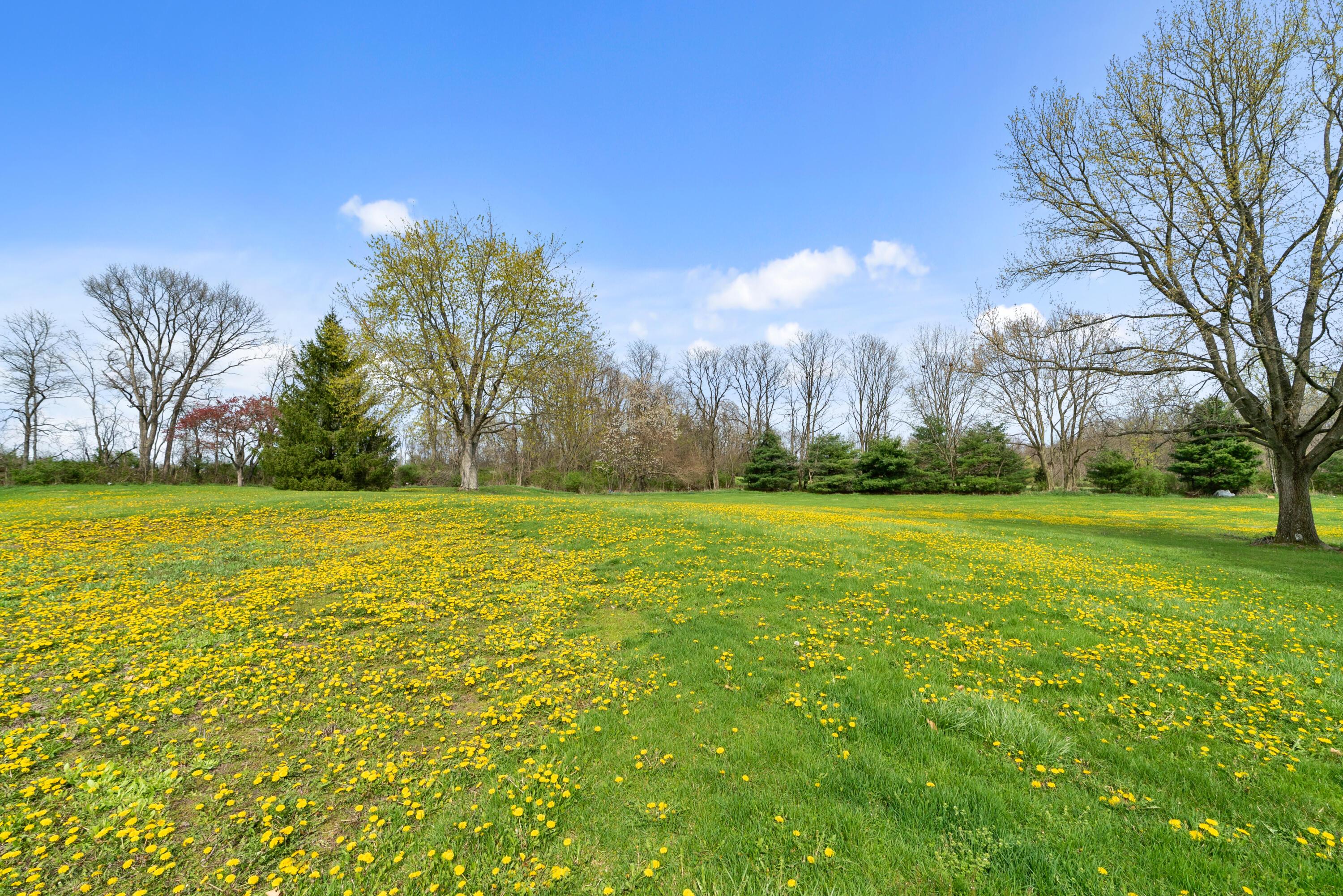 0 Coonpath Road Ne Property Photo 10