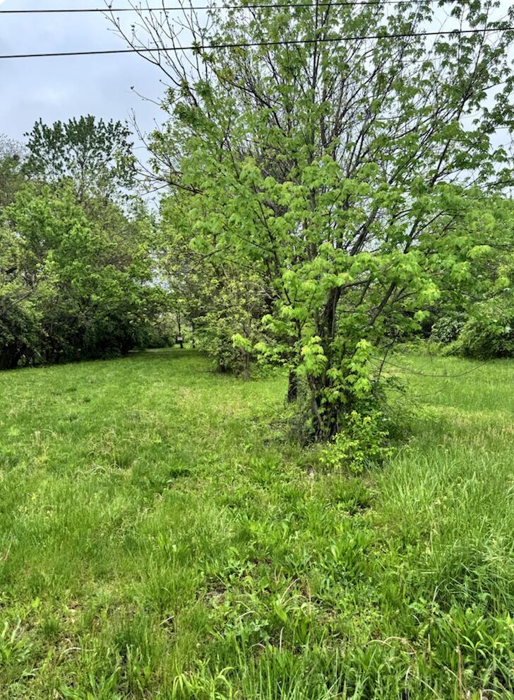 0 Elwood Avenue, Lot 9 Property Photo