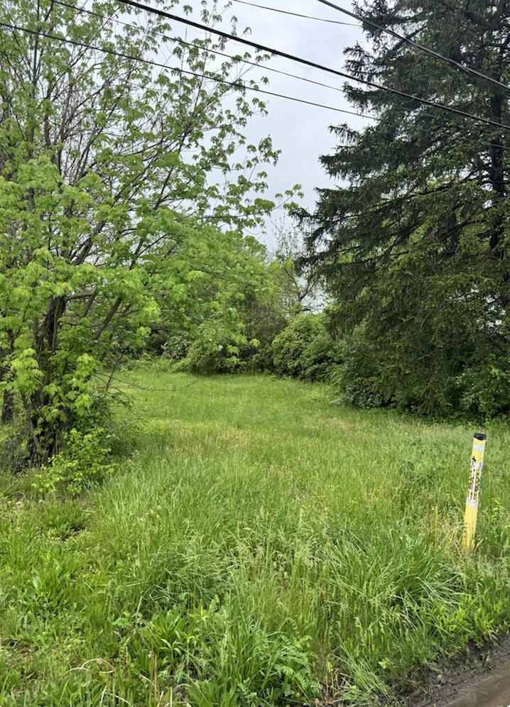 572 Elwood Avenue, Lot 113 Property Photo