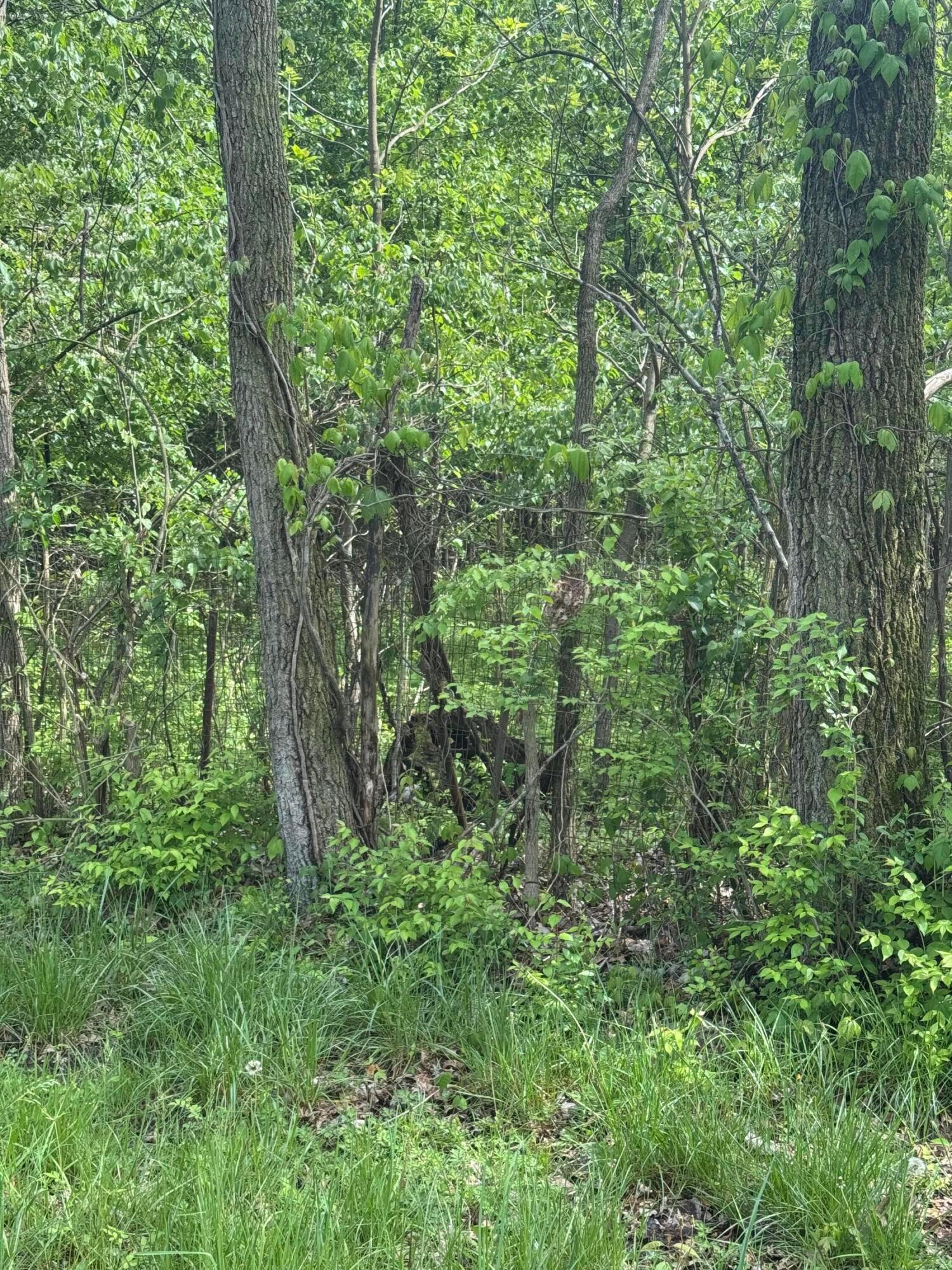 0 Milford Avenue, Lot 37 Property Photo