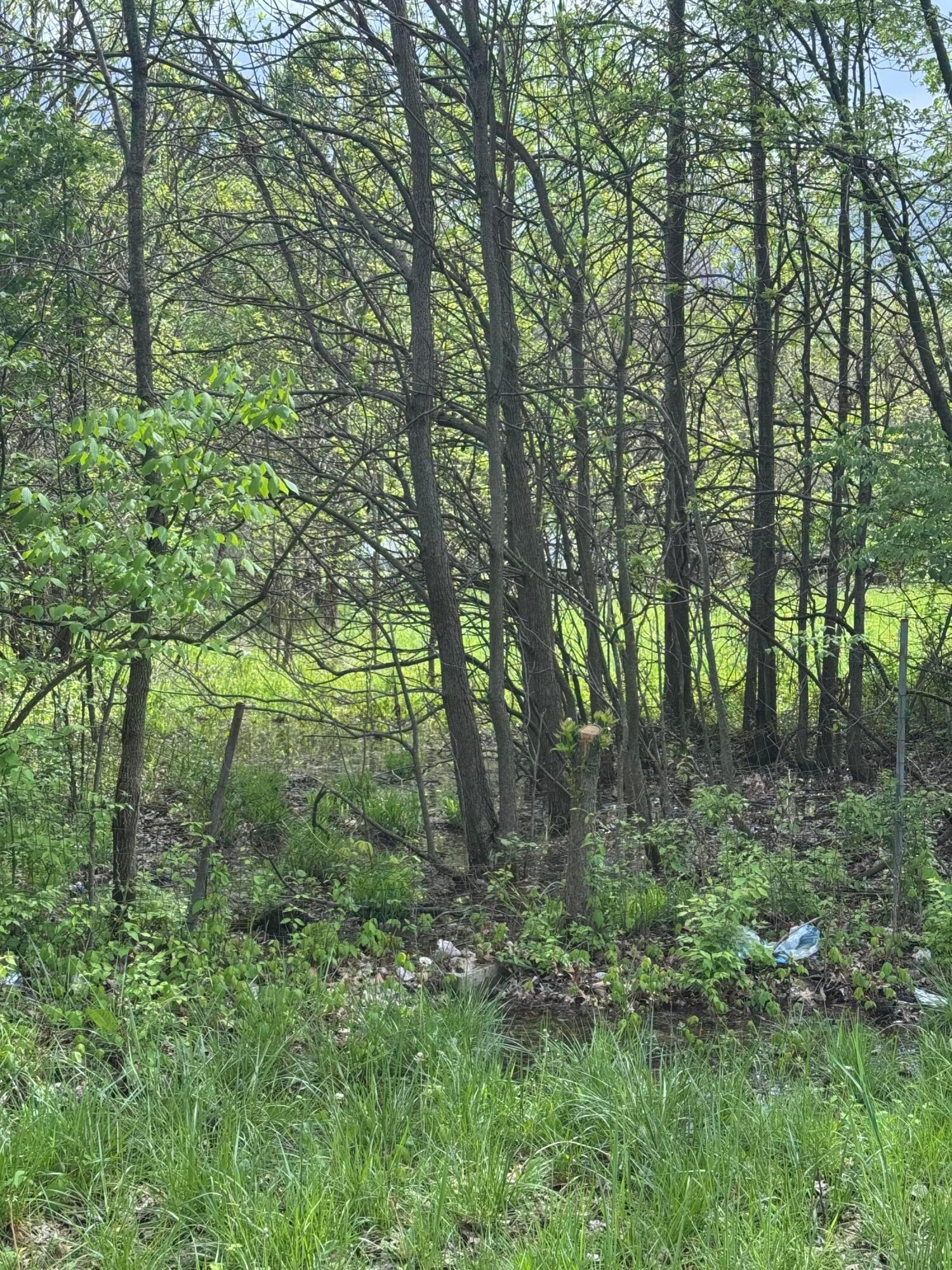 0 Milford Avenue, Lot 36 Property Photo