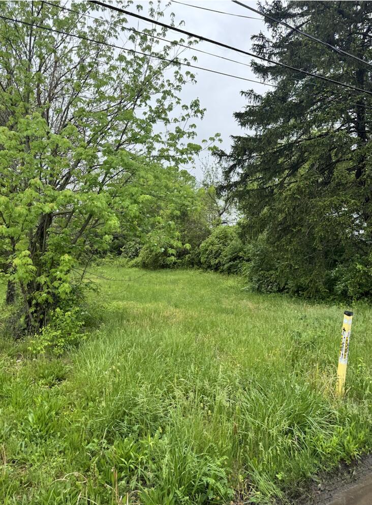 0 Elwood Avenue, Lot 108 Property Photo