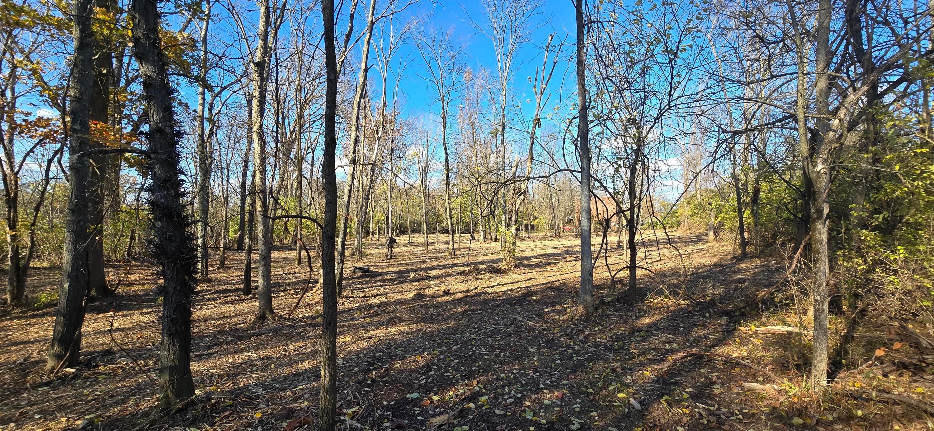 3480 Ostrander Road Property Photo 57