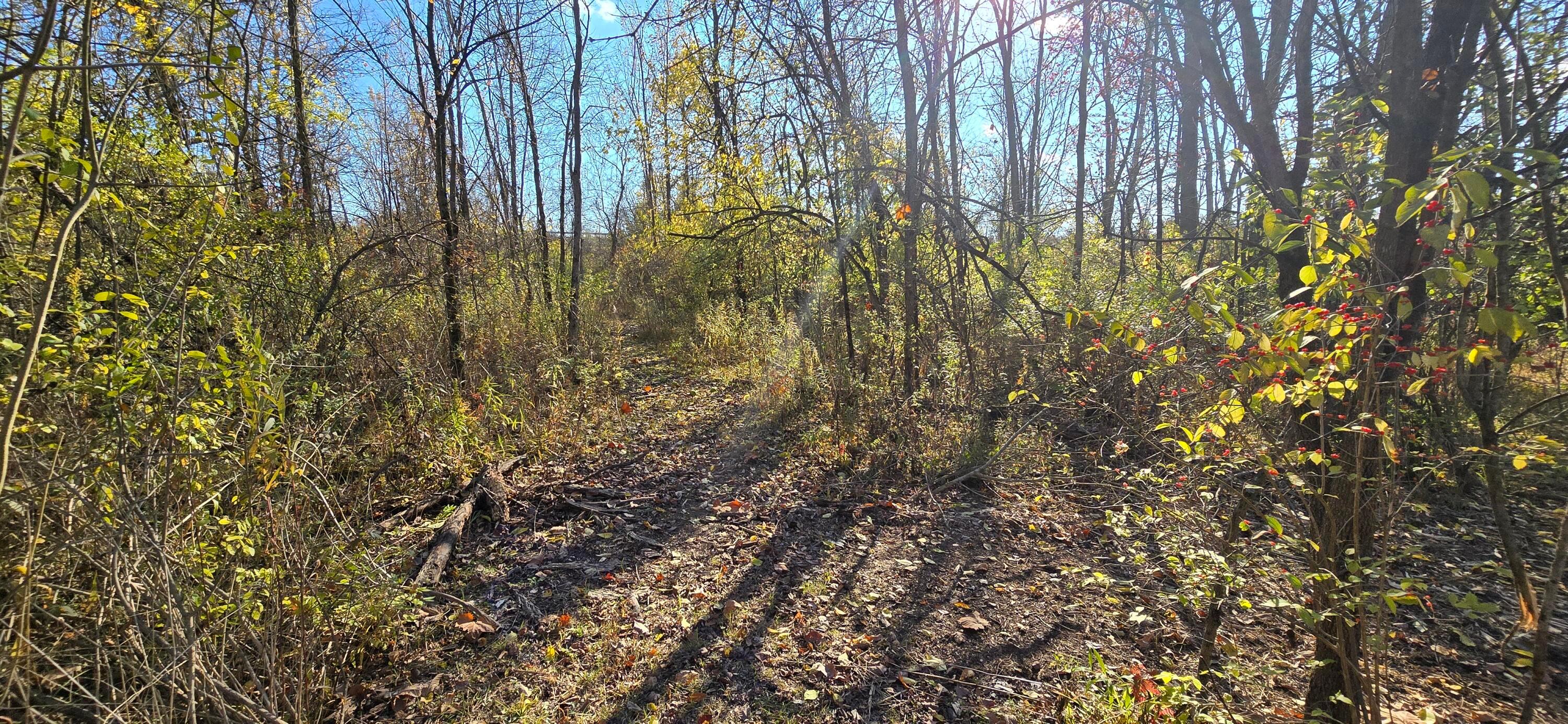 3480 Ostrander Road Property Photo 58