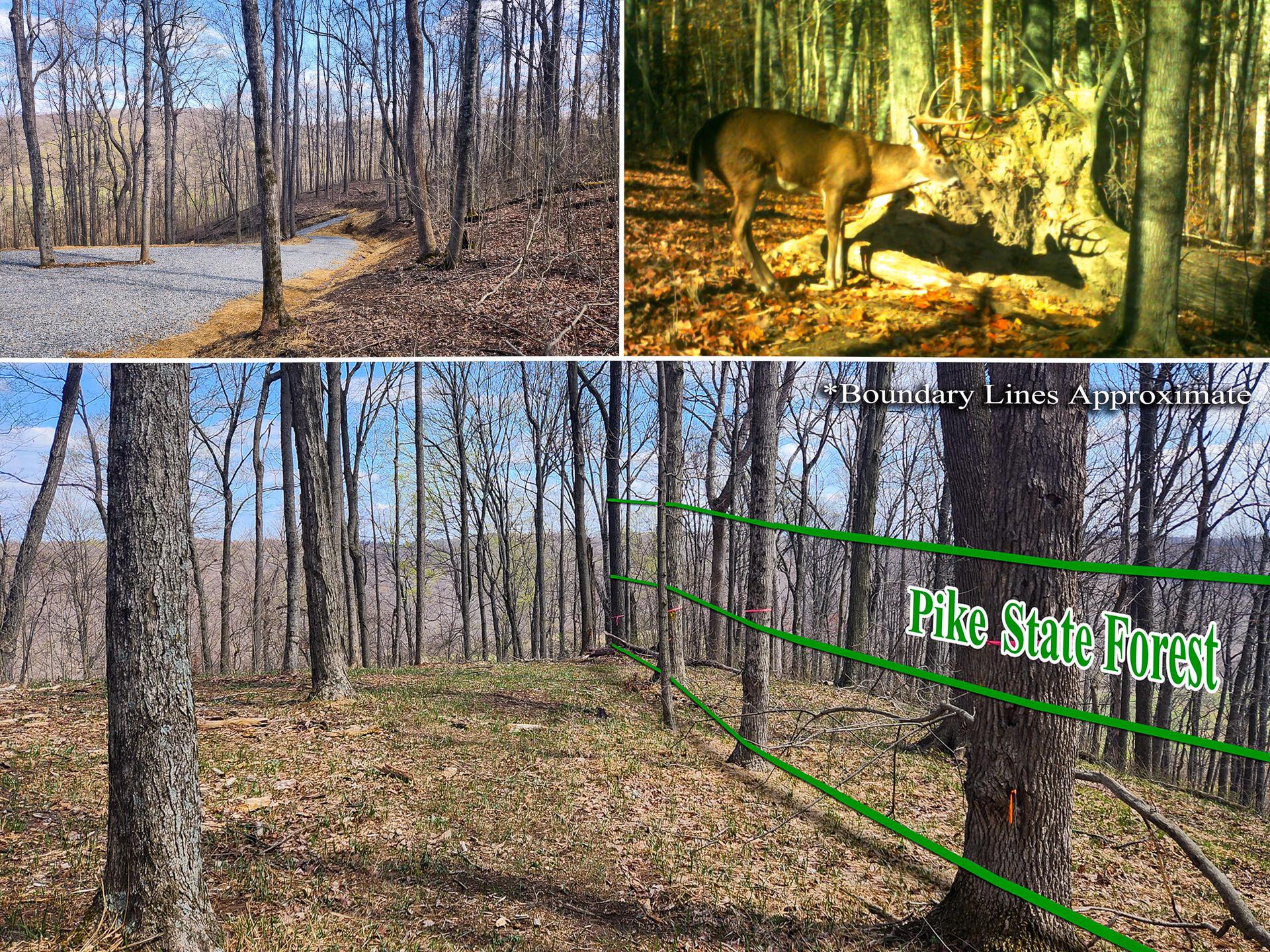 0 Pike Lake Rd Road, (tract 4 Pike Lake Getaway) Property Photo 1