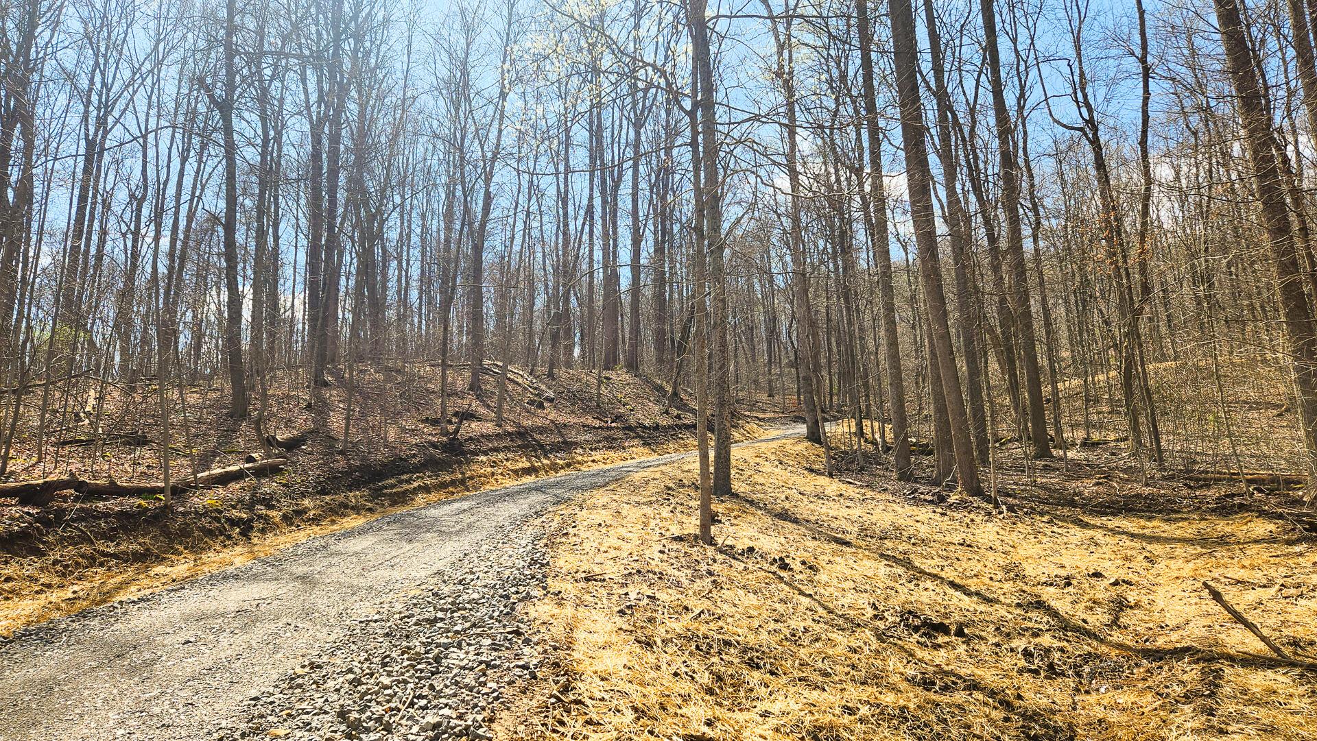 0 Pike Lake Rd Road, (tract 4 Pike Lake Getaway) Property Photo 3