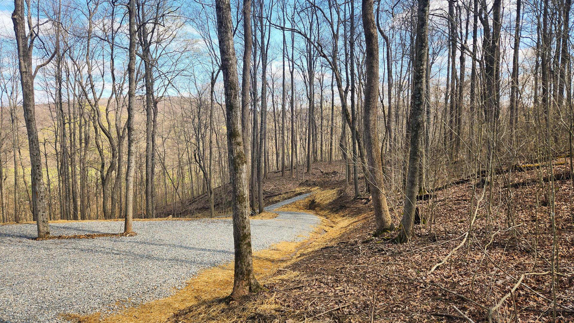 0 Pike Lake Rd Road, (tract 4 Pike Lake Getaway) Property Photo 4