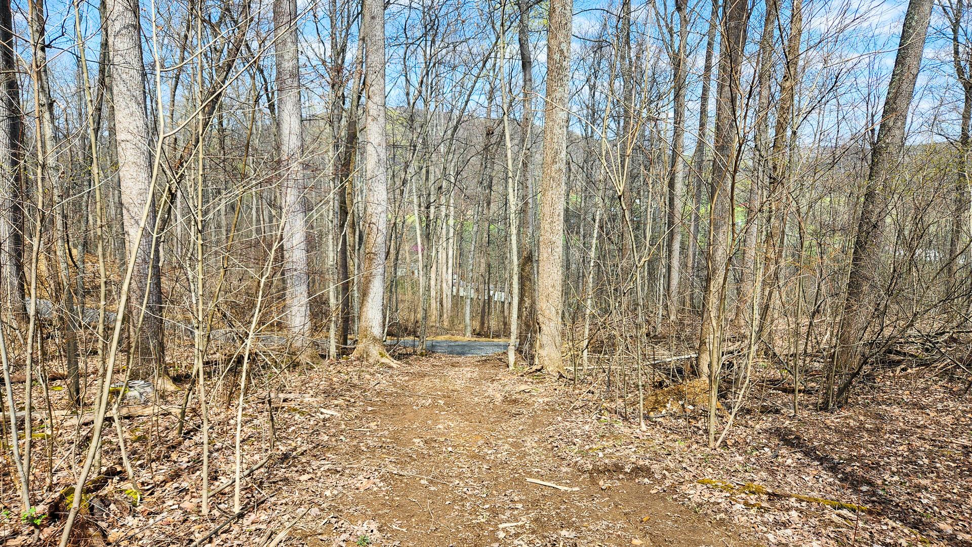 0 Pike Lake Rd Road, (tract 4 Pike Lake Getaway) Property Photo 6
