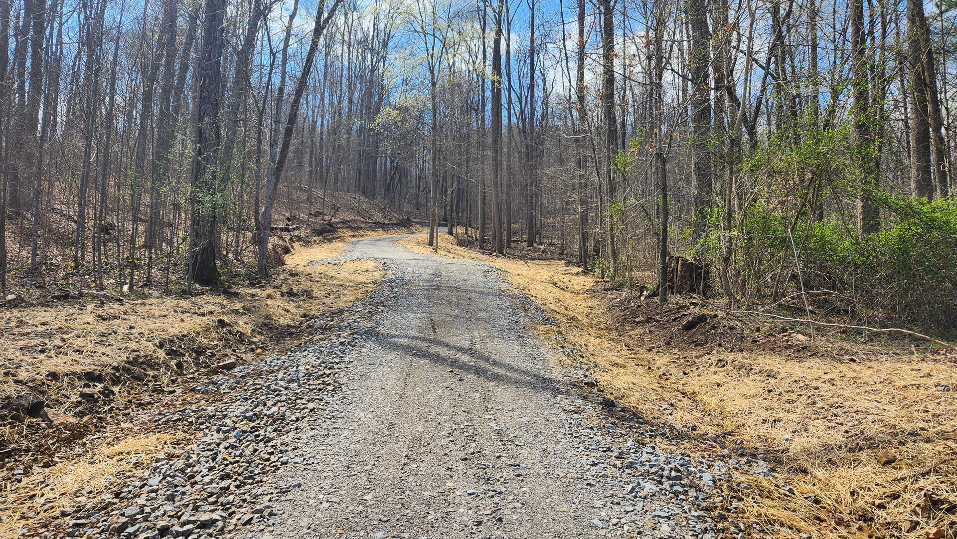 0 Pike Lake Rd Road, (tract 4 Pike Lake Getaway) Property Photo 13