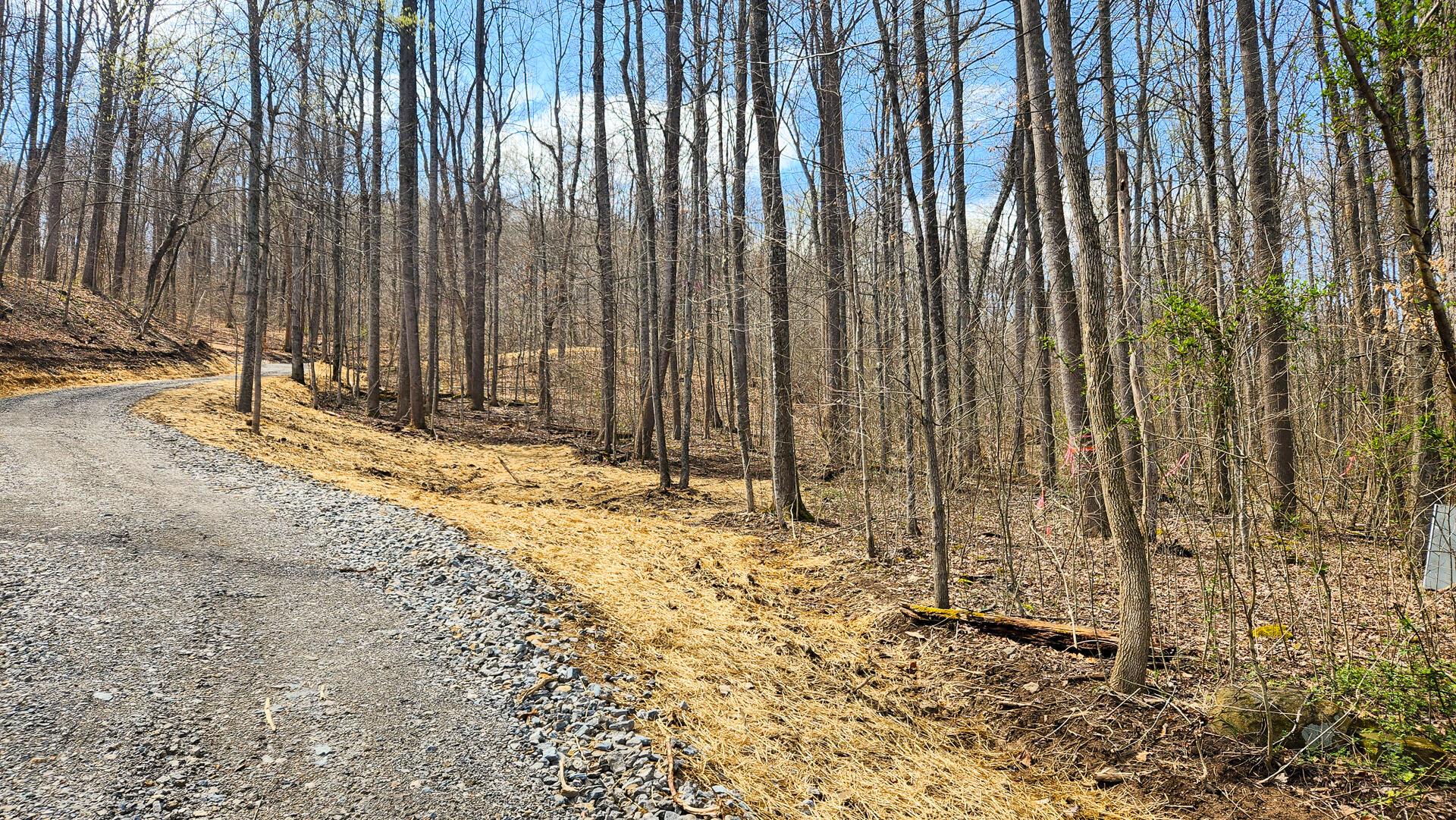 0 Pike Lake Rd Road, (tract 4 Pike Lake Getaway) Property Photo 14