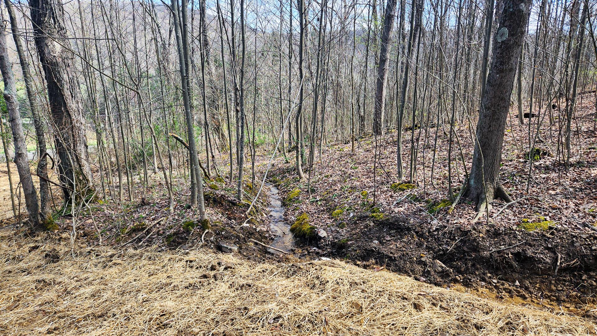 0 Pike Lake Rd Road, (tract 4 Pike Lake Getaway) Property Photo 15