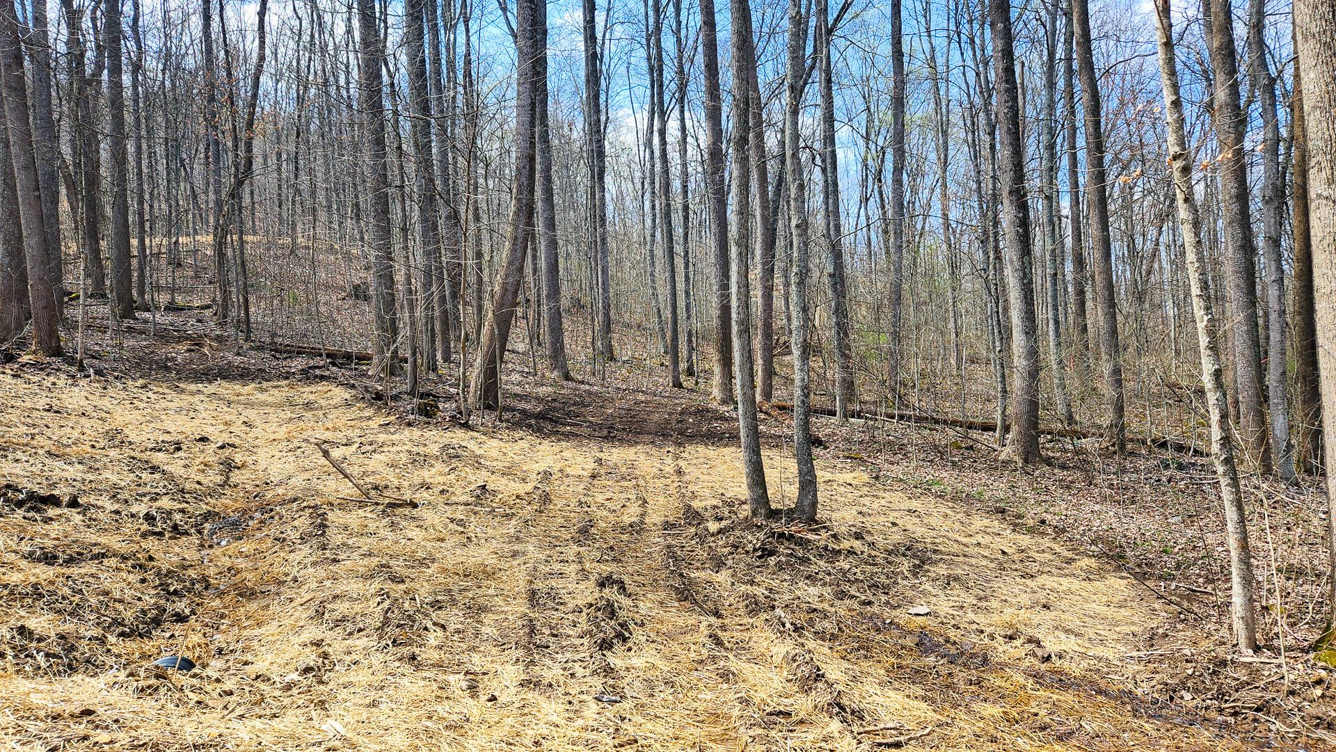 0 Pike Lake Rd Road, (tract 4 Pike Lake Getaway) Property Photo 17