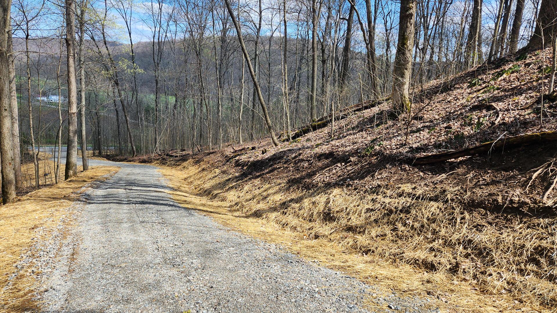 0 Pike Lake Rd Road, (tract 4 Pike Lake Getaway) Property Photo 18