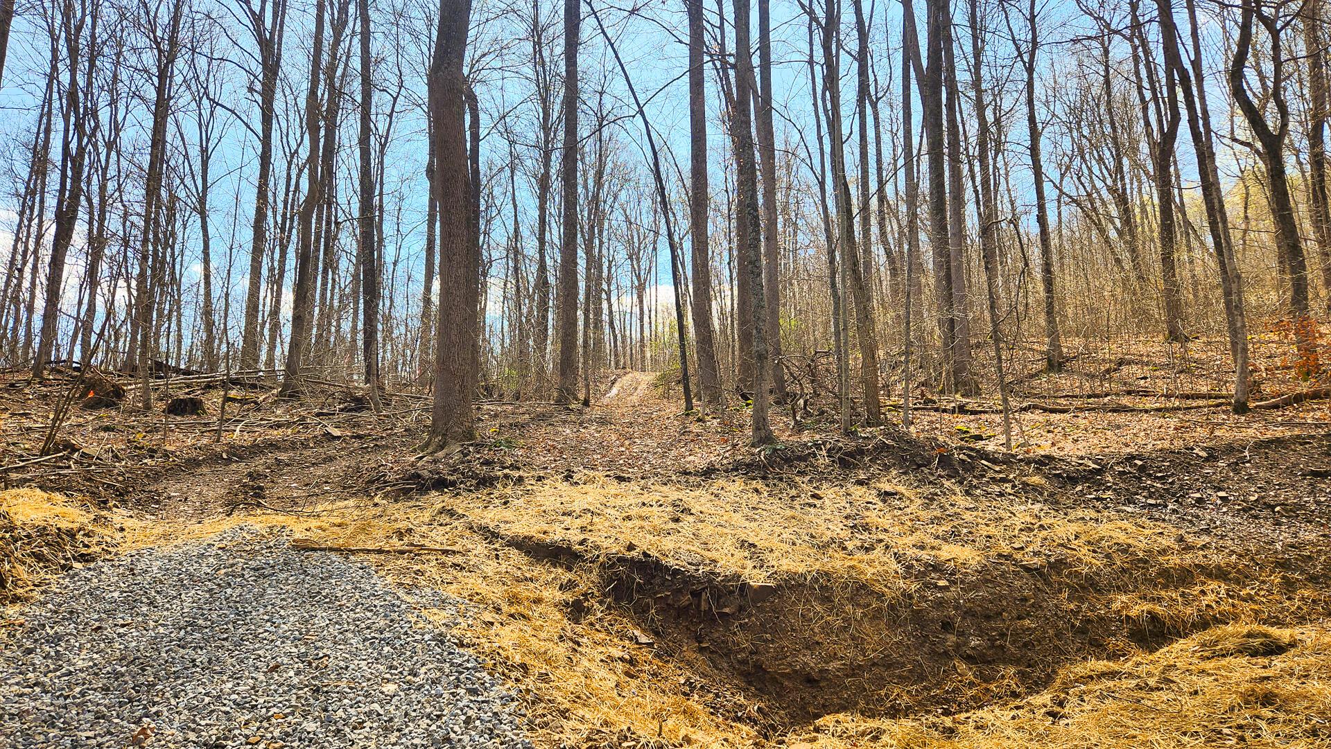 0 Pike Lake Rd Road, (tract 4 Pike Lake Getaway) Property Photo 20