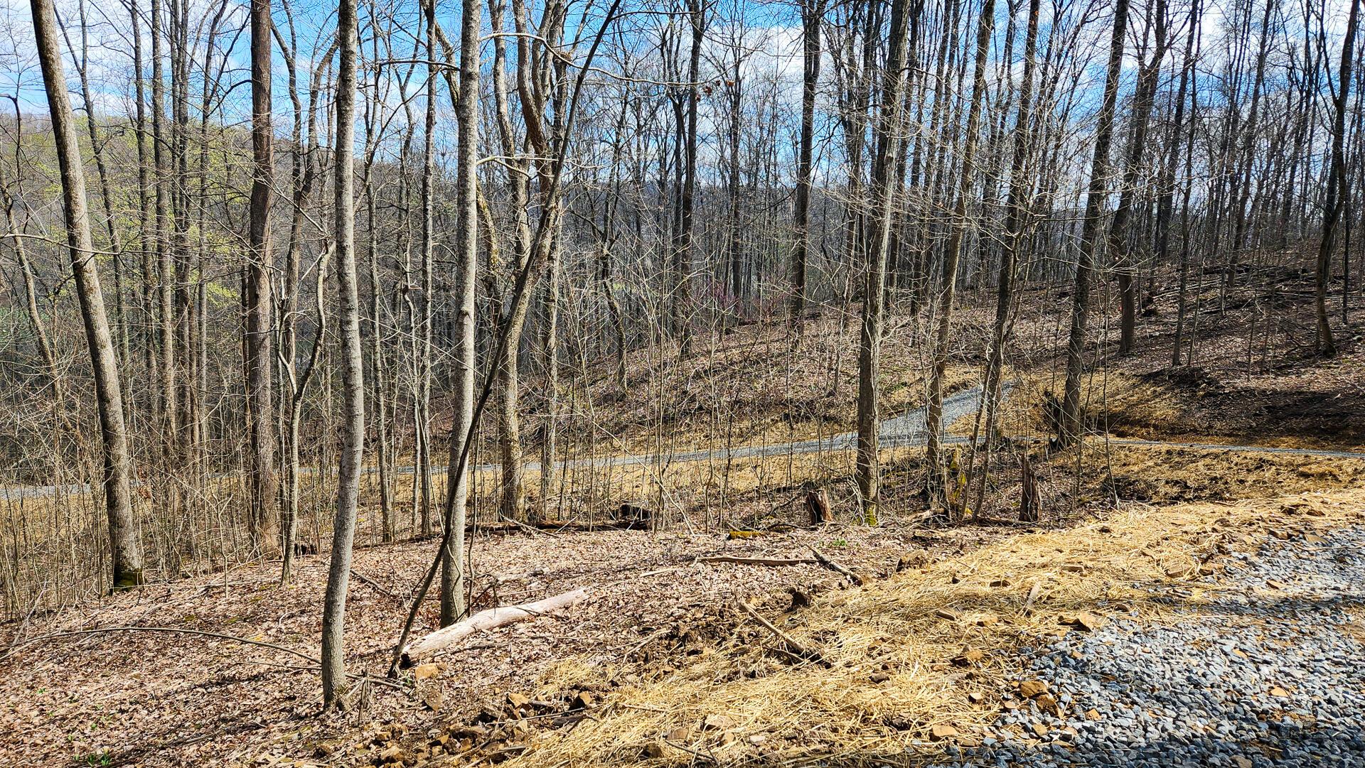 0 Pike Lake Rd Road, (tract 4 Pike Lake Getaway) Property Photo 21