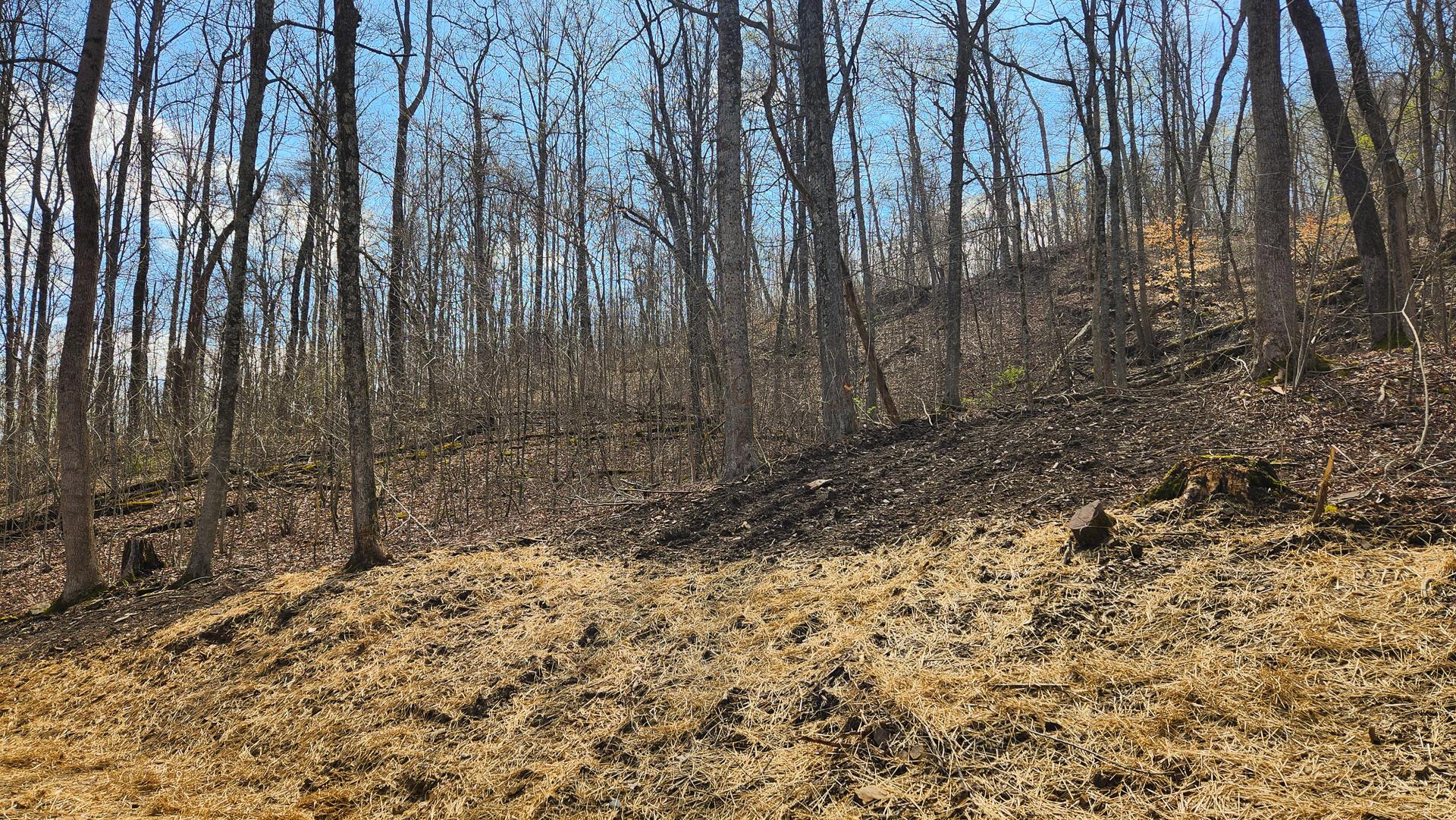 0 Pike Lake Rd Road, (tract 4 Pike Lake Getaway) Property Photo 26