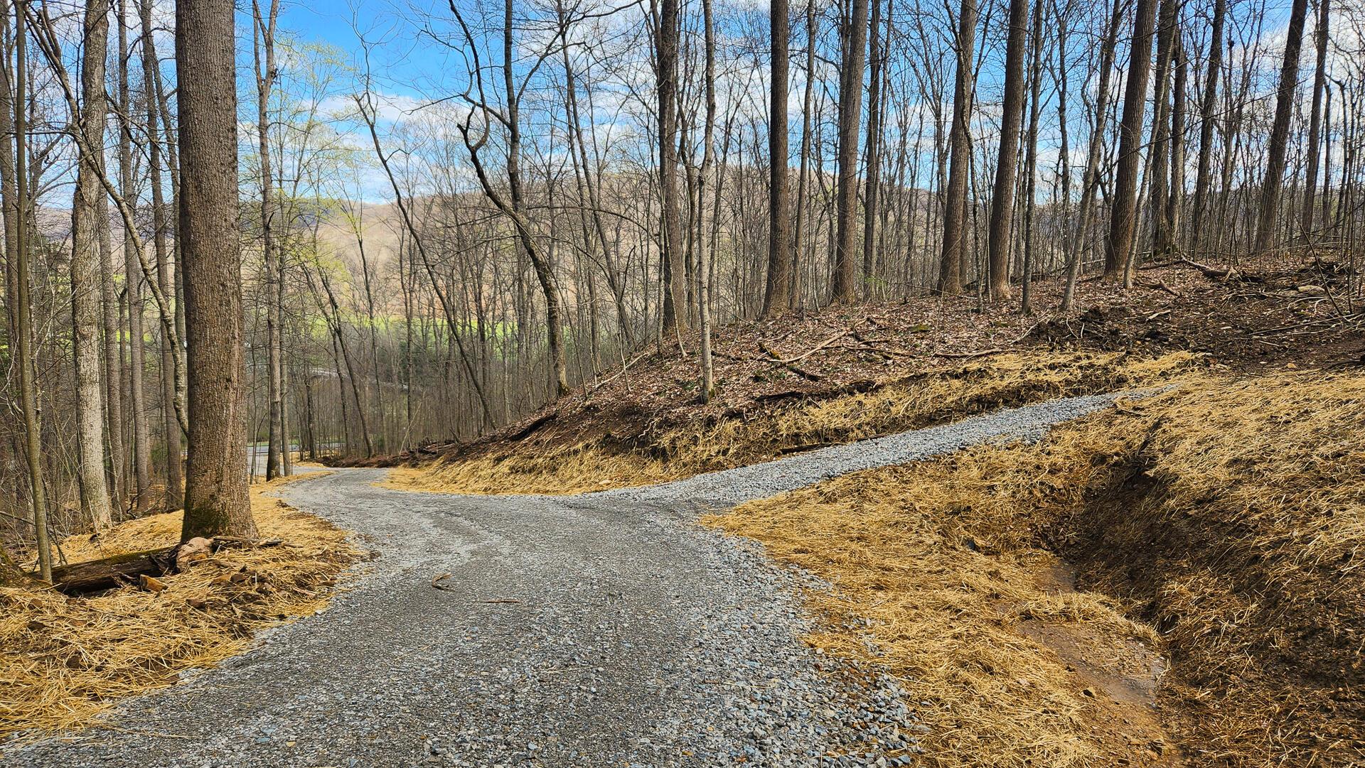 0 Pike Lake Rd Road, (tract 4 Pike Lake Getaway) Property Photo 27
