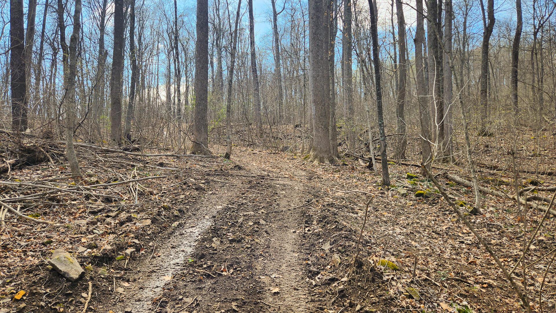 0 Pike Lake Rd Road, (tract 4 Pike Lake Getaway) Property Photo 30