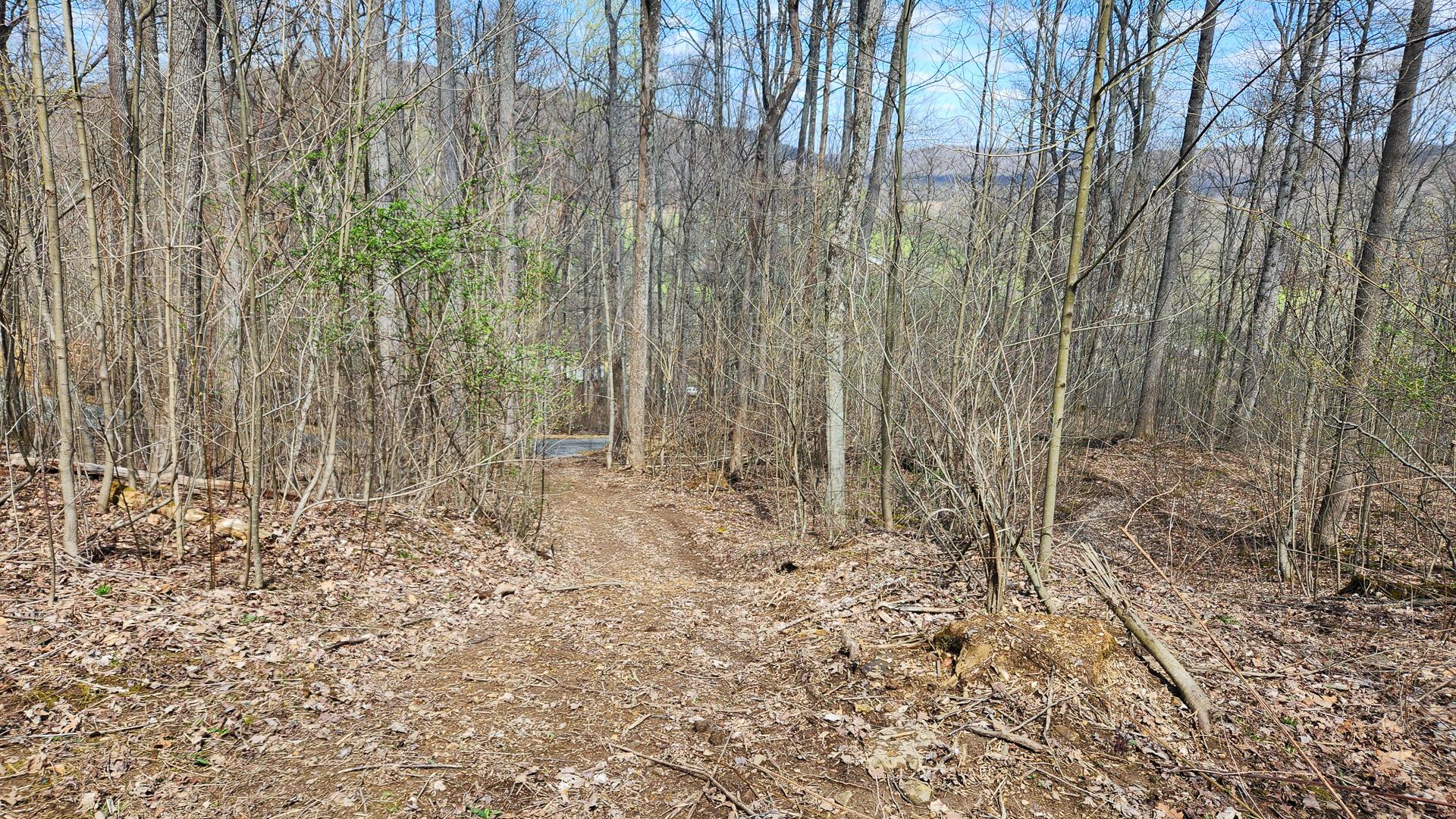 0 Pike Lake Rd Road, (tract 4 Pike Lake Getaway) Property Photo 31