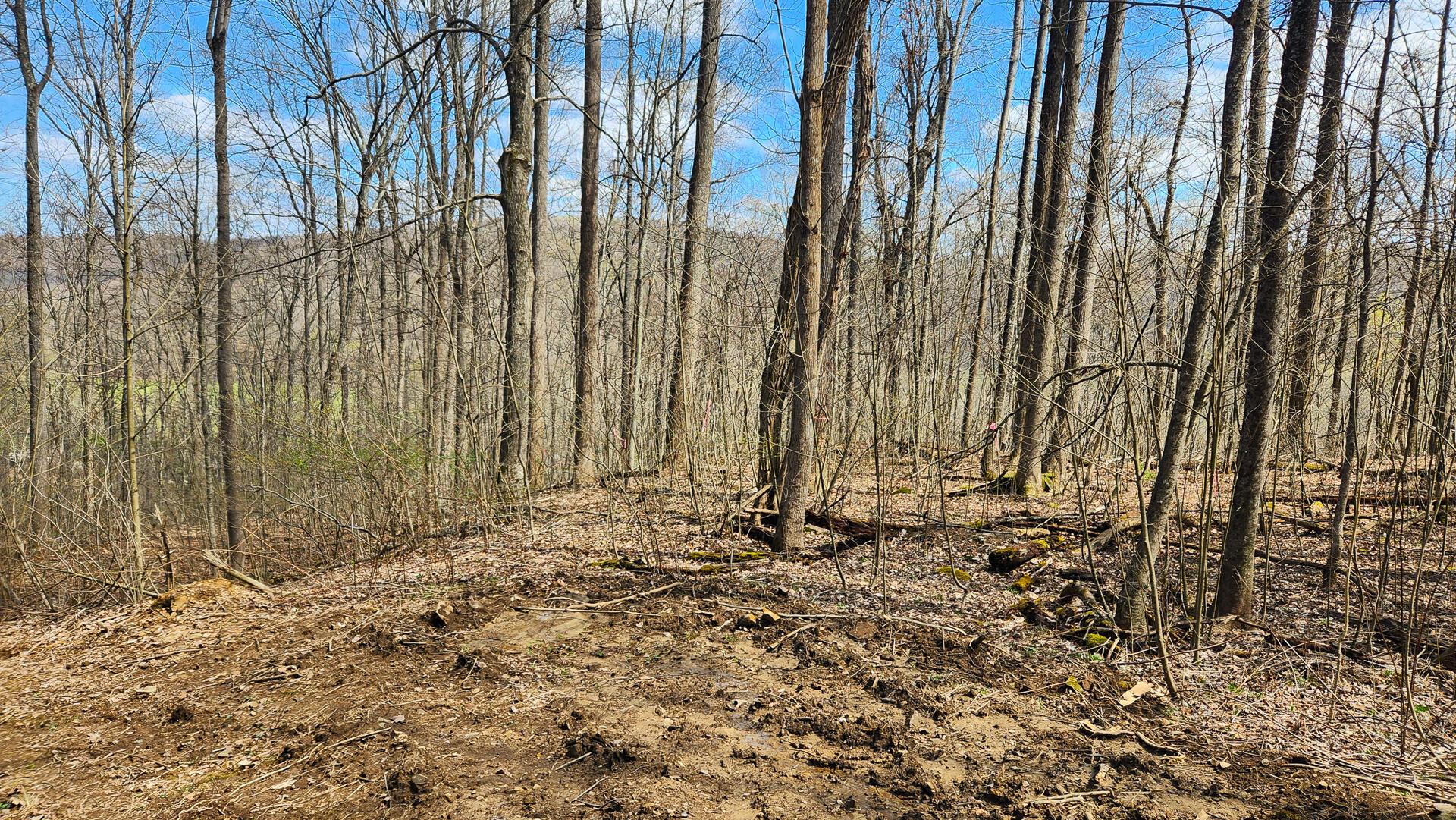 0 Pike Lake Rd Road, (tract 4 Pike Lake Getaway) Property Photo 32