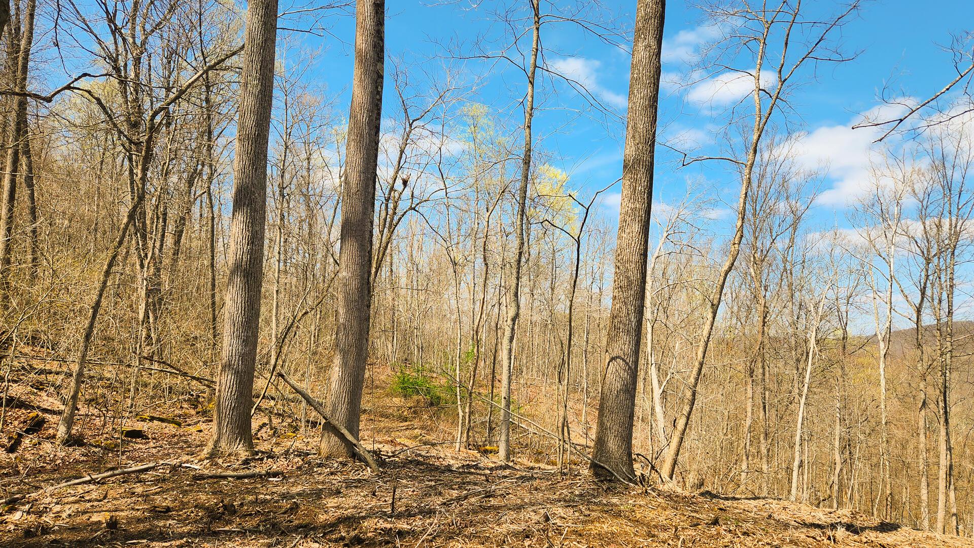 0 Pike Lake Rd Road, (tract 4 Pike Lake Getaway) Property Photo 34