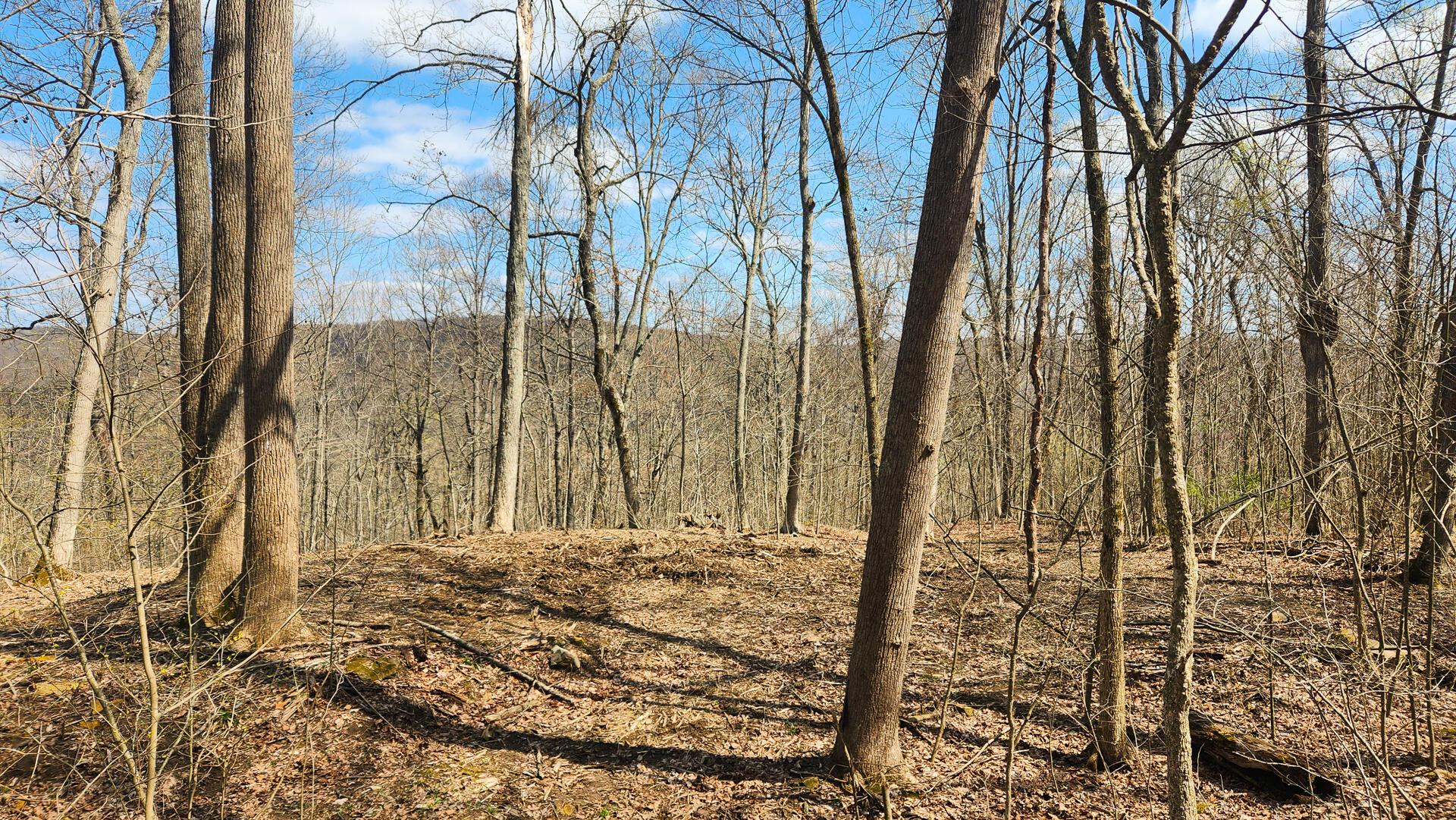 0 Pike Lake Rd Road, (tract 4 Pike Lake Getaway) Property Photo 36