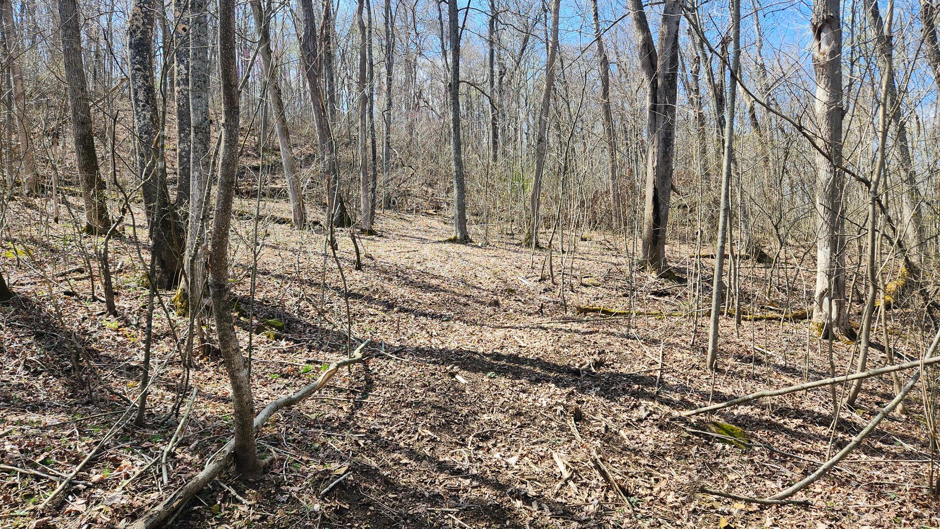 0 Pike Lake Rd Road, (tract 4 Pike Lake Getaway) Property Photo 37