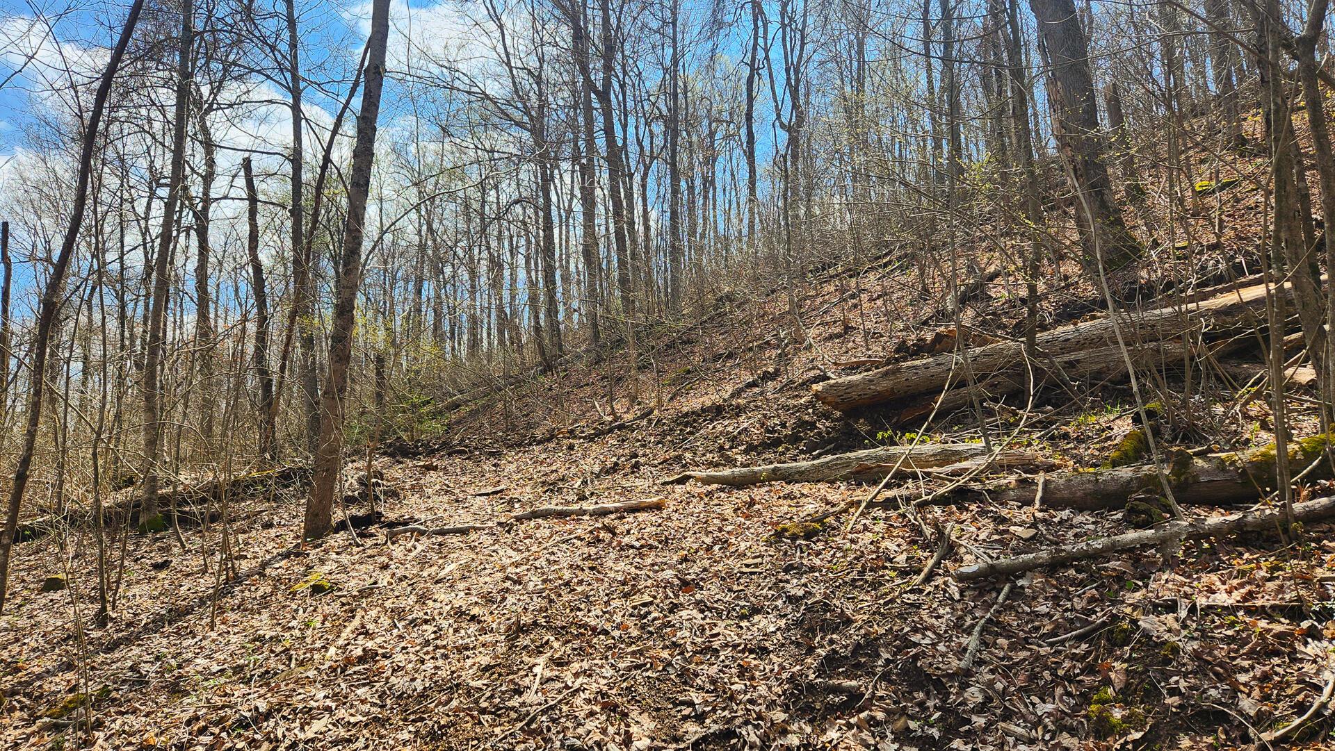 0 Pike Lake Rd Road, (tract 4 Pike Lake Getaway) Property Photo 39