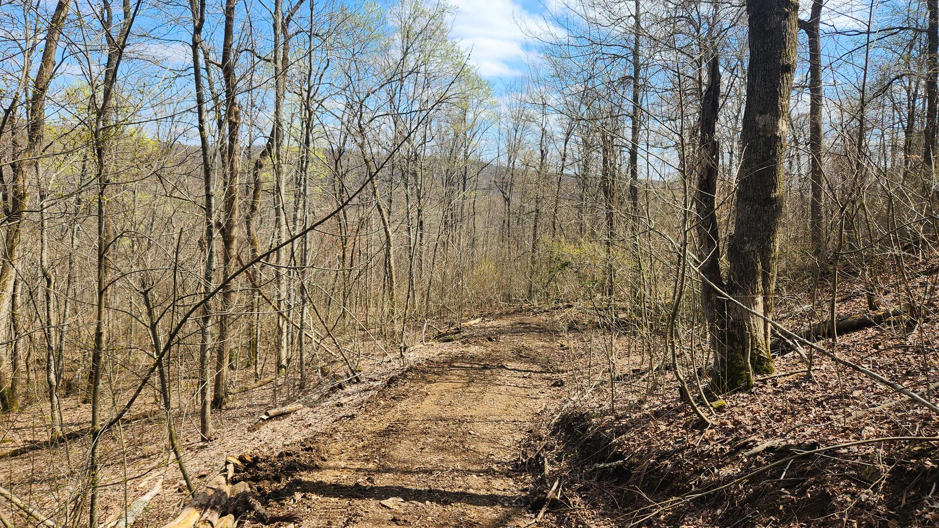 0 Pike Lake Rd Road, (tract 4 Pike Lake Getaway) Property Photo 40