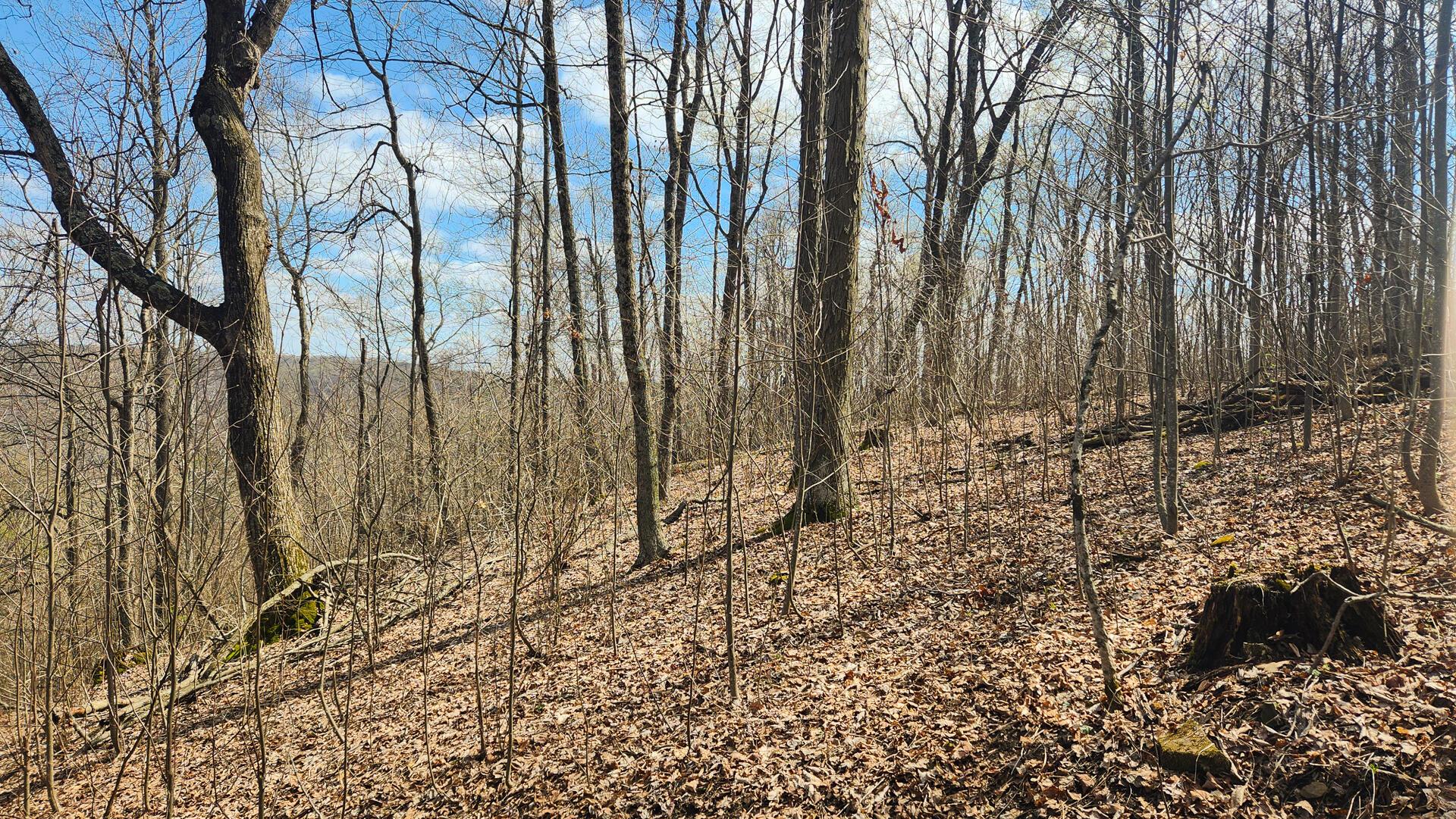 0 Pike Lake Rd Road, (tract 4 Pike Lake Getaway) Property Photo 42