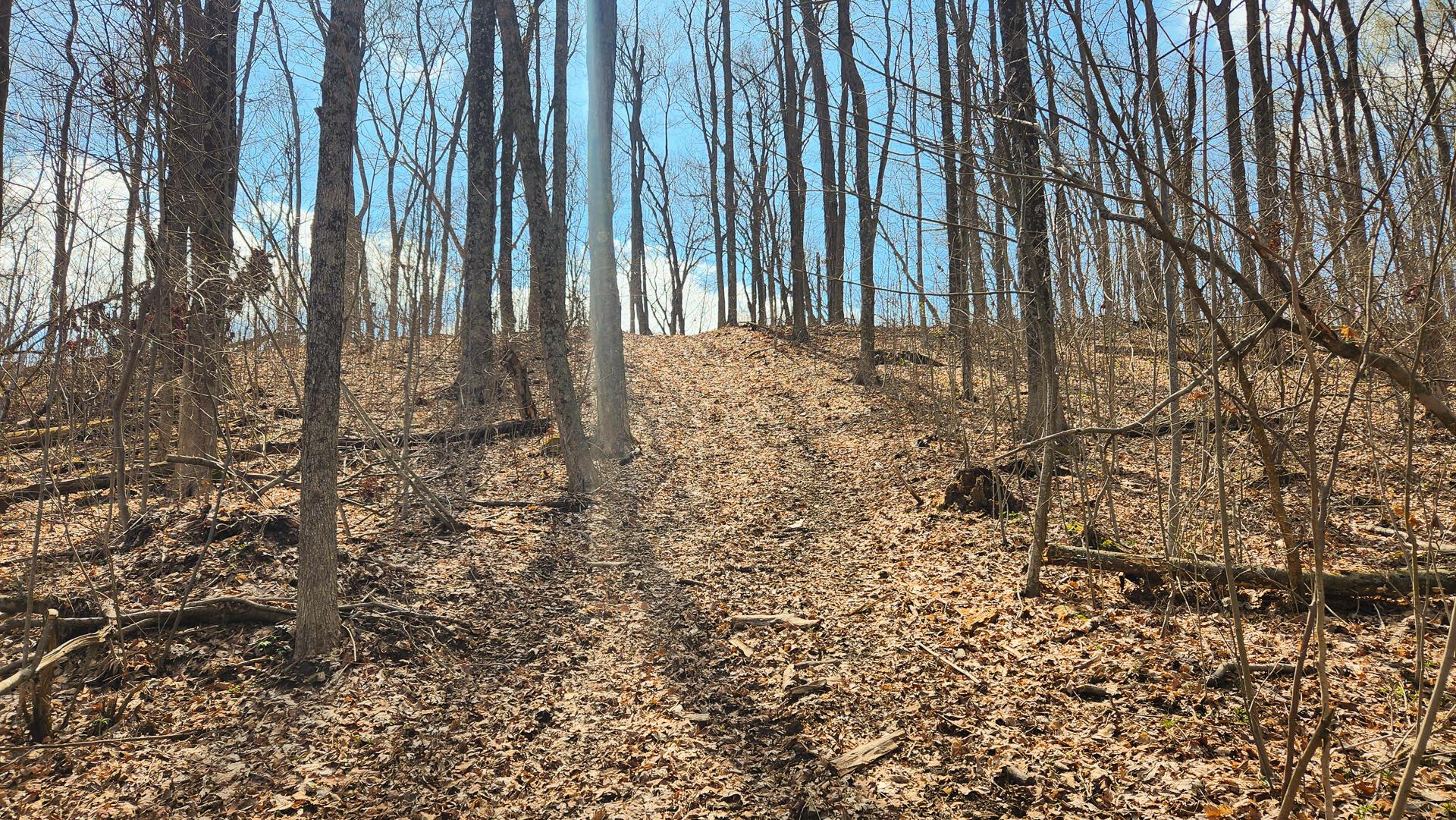 0 Pike Lake Rd Road, (tract 4 Pike Lake Getaway) Property Photo 43