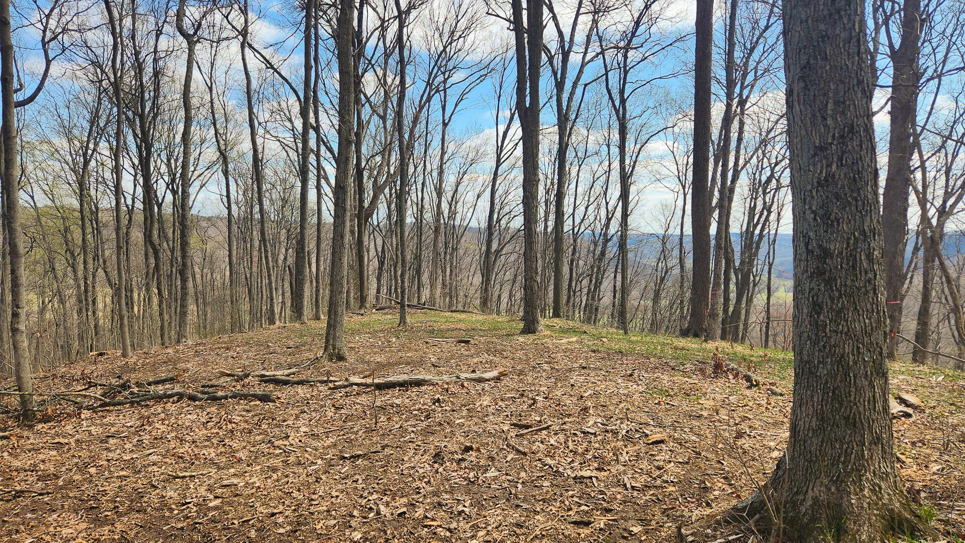 0 Pike Lake Rd Road, (tract 4 Pike Lake Getaway) Property Photo 44
