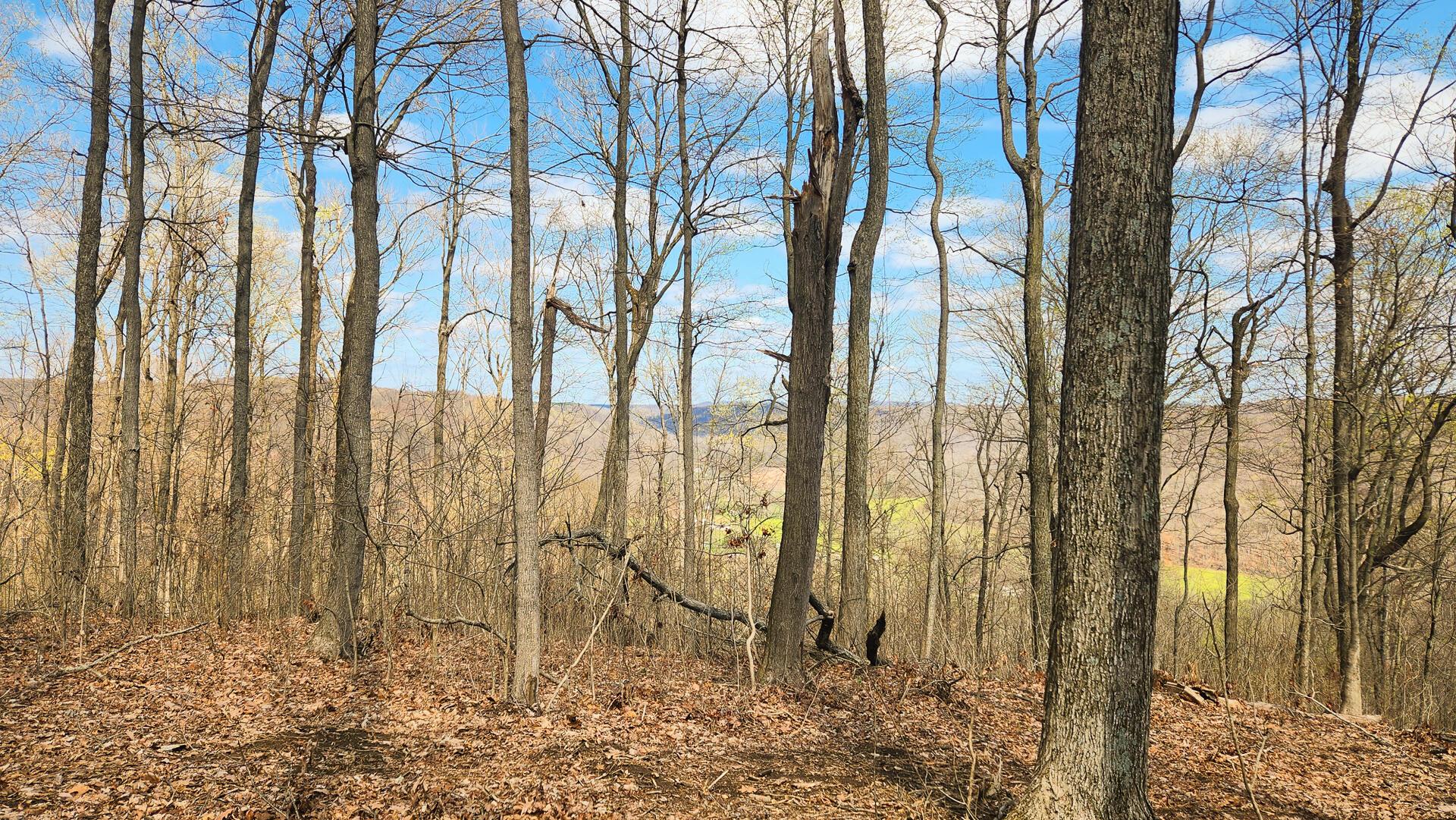 0 Pike Lake Rd Road, (tract 4 Pike Lake Getaway) Property Photo 45