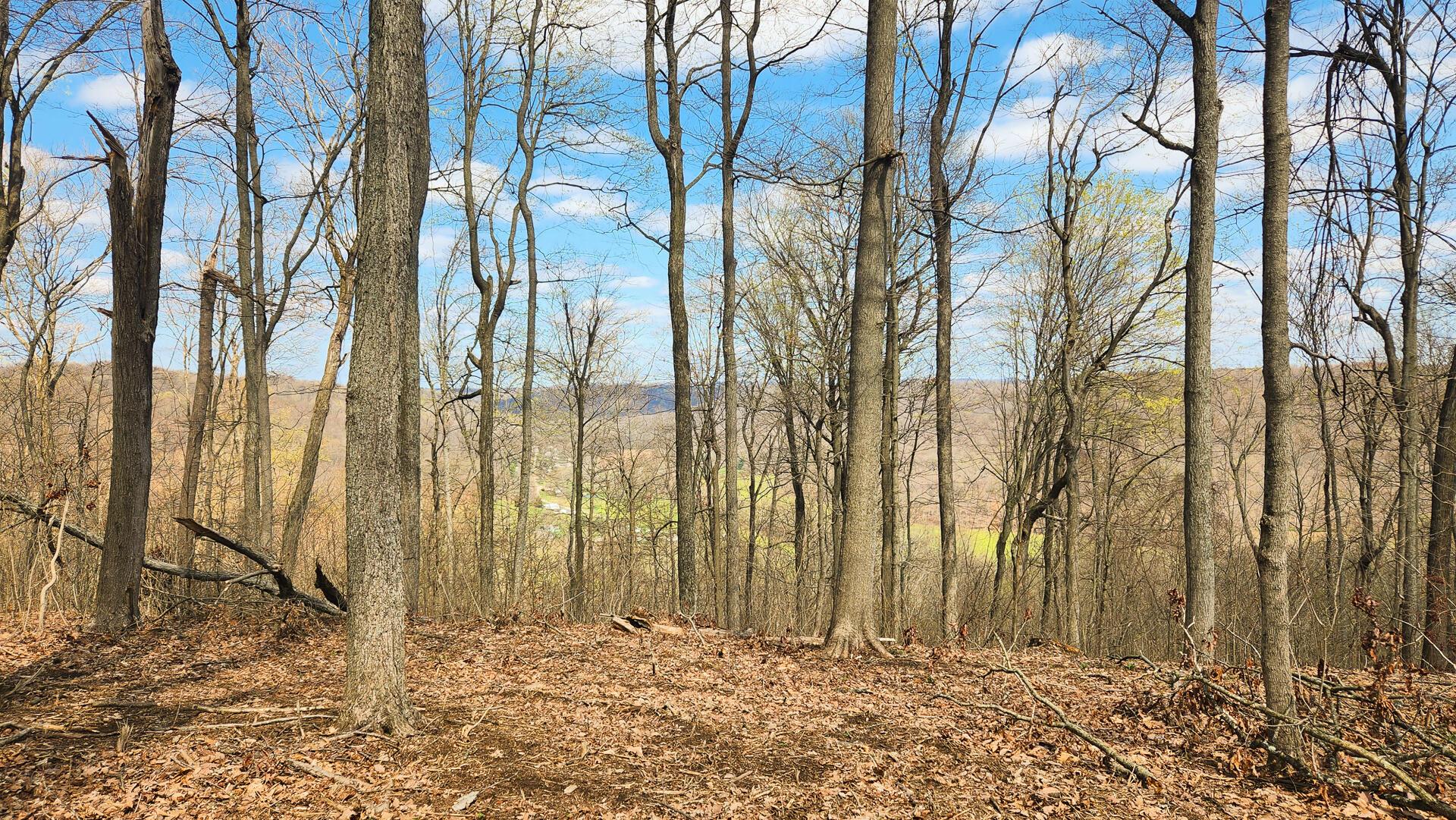 0 Pike Lake Rd Road, (tract 4 Pike Lake Getaway) Property Photo 46