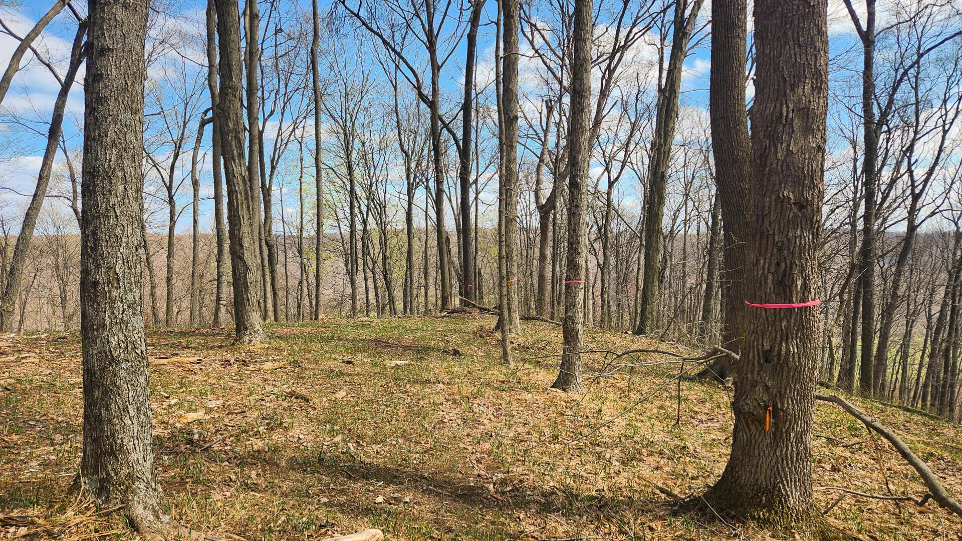 0 Pike Lake Rd Road, (tract 4 Pike Lake Getaway) Property Photo 49