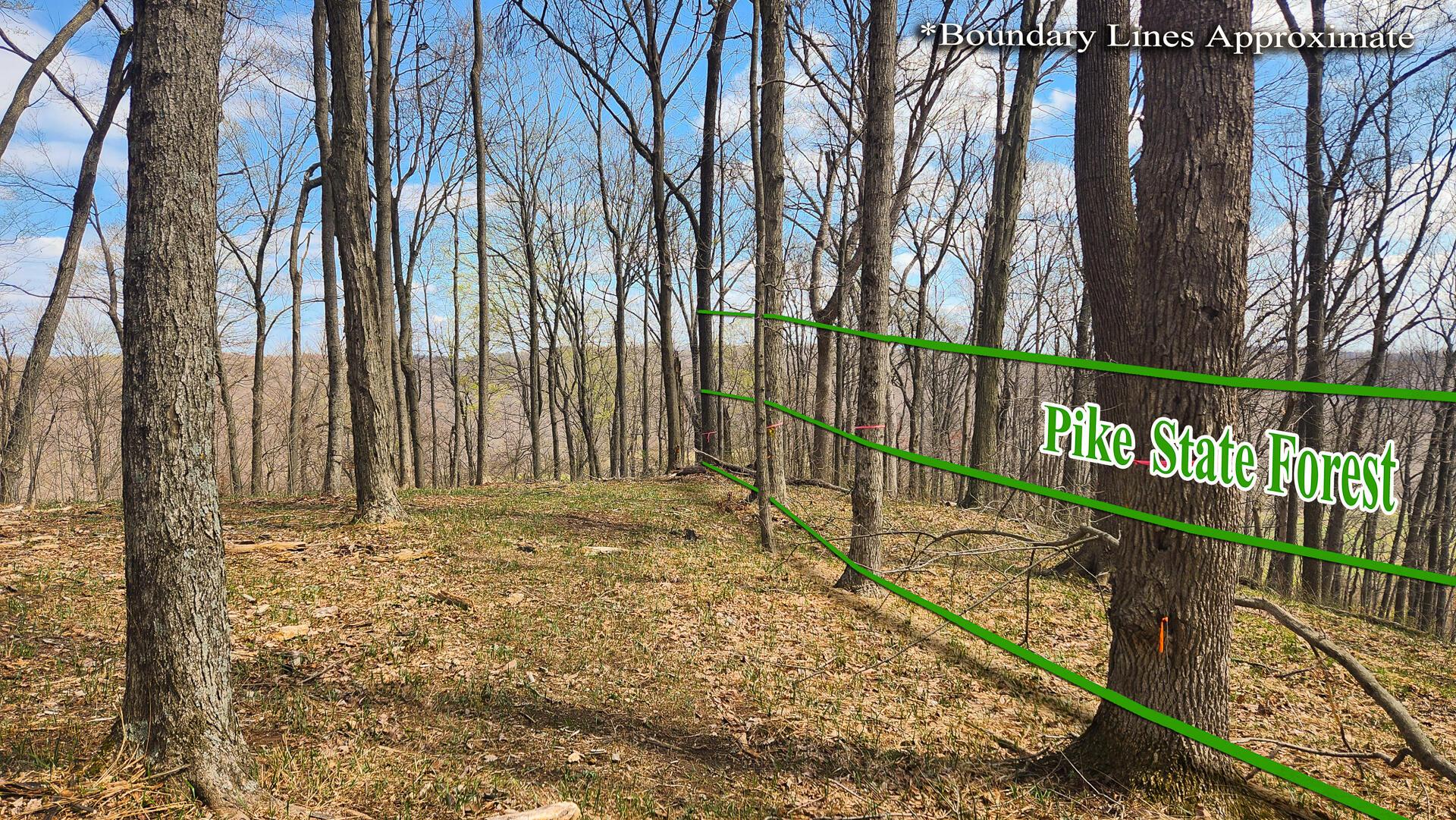 0 Pike Lake Rd Road, (tract 4 Pike Lake Getaway) Property Photo 50