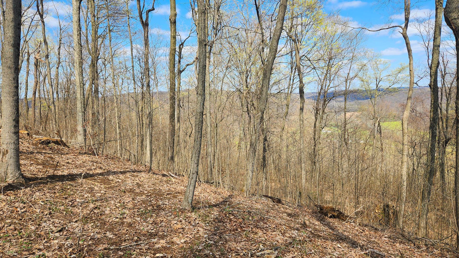 0 Pike Lake Rd Road, (tract 4 Pike Lake Getaway) Property Photo 52