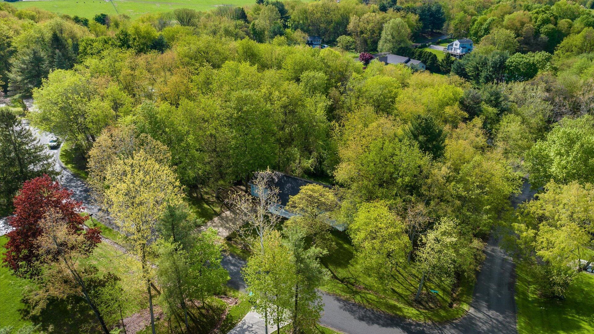 629 Mcintosh Drive Property Photo 52