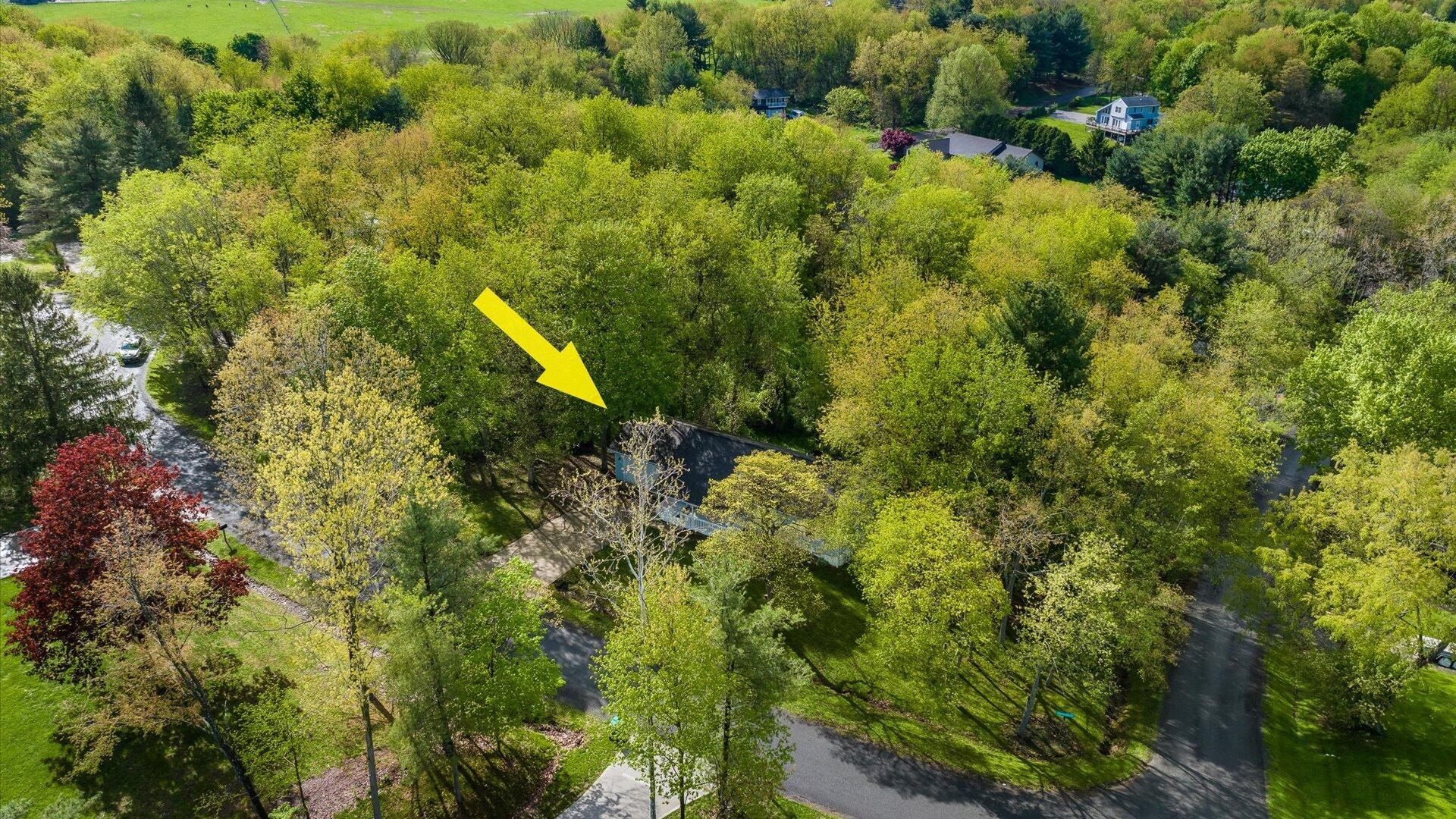 629 Mcintosh Drive Property Photo 53