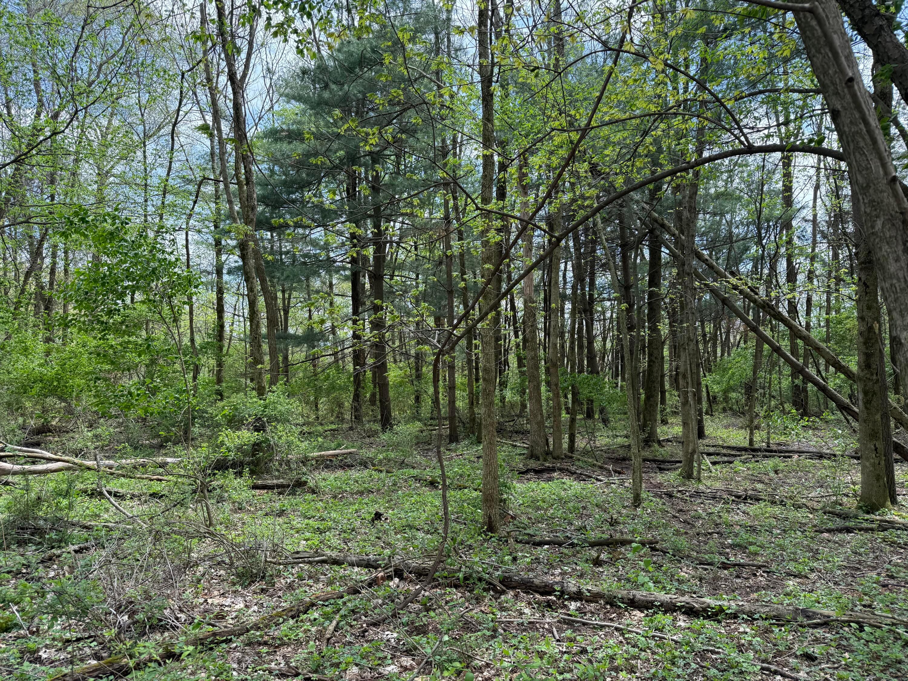 0 Dutch Lane Nw Property Photo 3