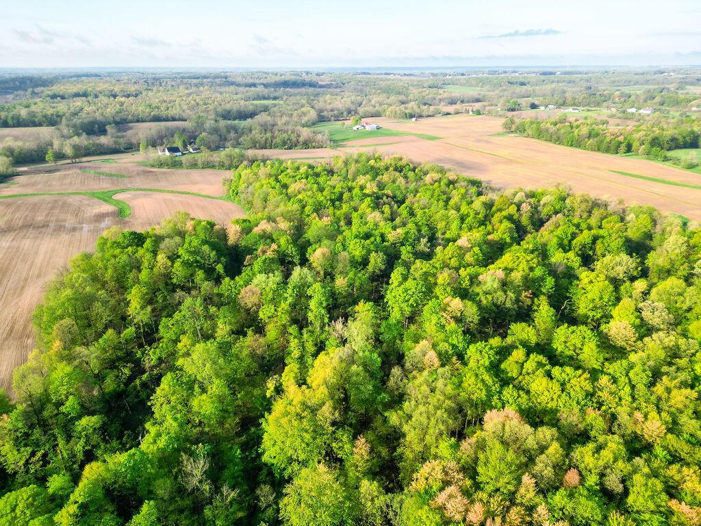 0 Dutch Lane Nw Property Photo 9