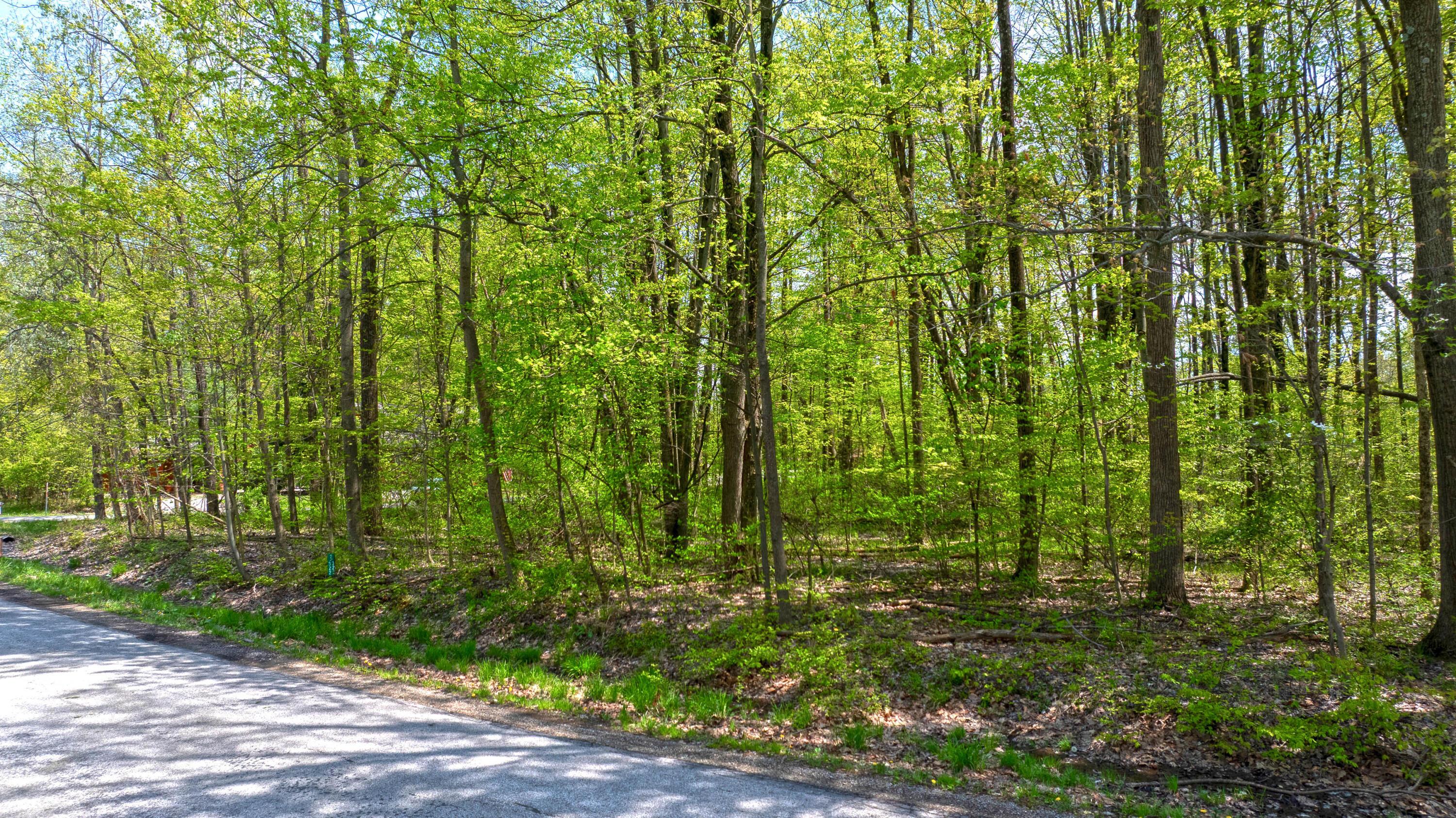 7326 State Route 19, Unit 2 Property Photo 3
