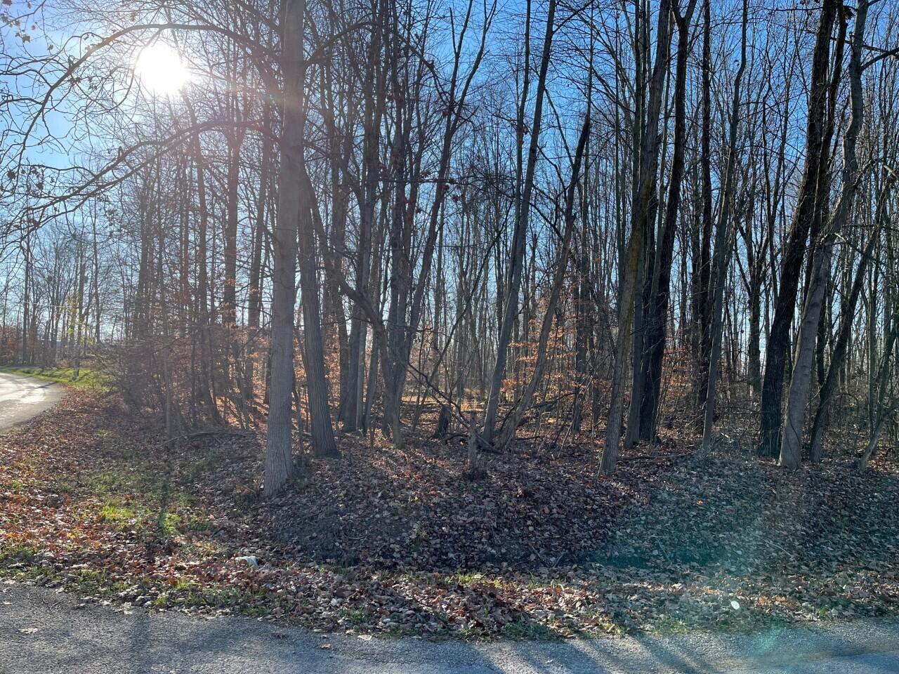 7326 State Route 19, Unit 2 Property Photo 6
