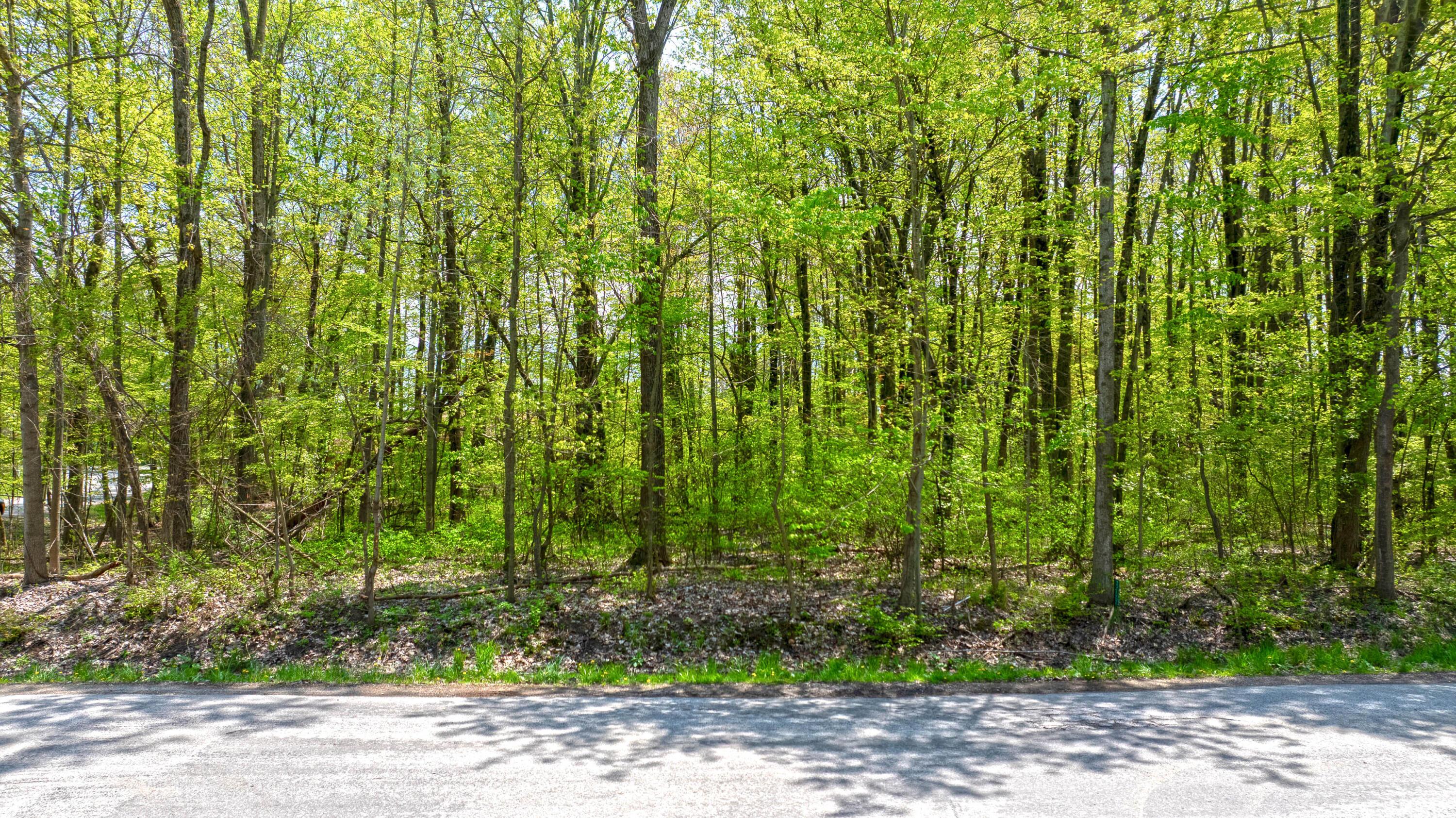 7326 State Route 19, Unit 2 Property Photo 7