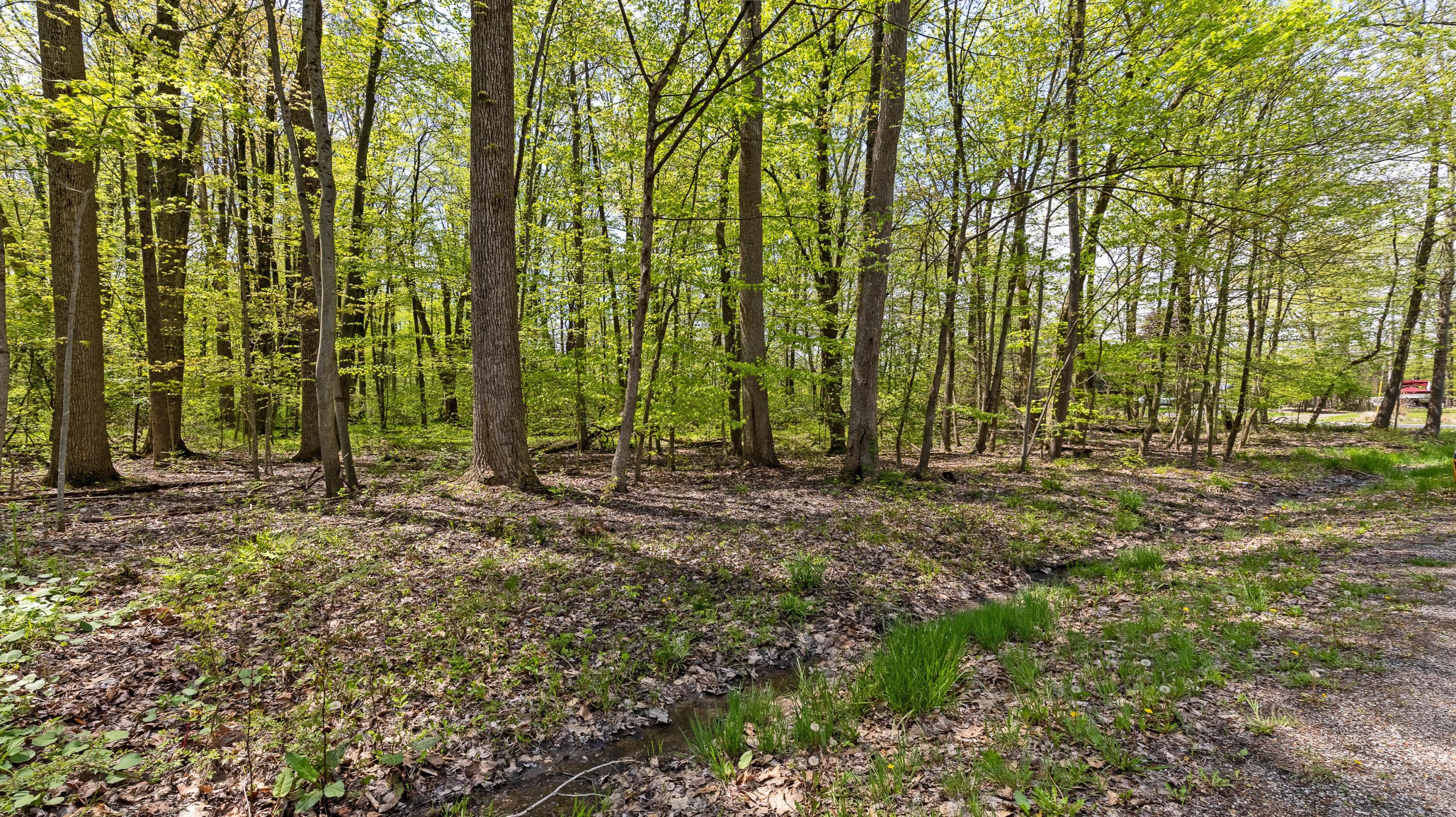 7326 State Route 19, Unit 2 Property Photo 8